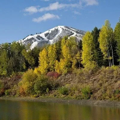 Sun Valley Vedic Meditation Course Hosted by Ali Q Wellness