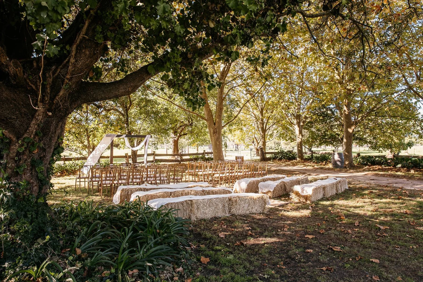 Example Wedding Gallery-2-3.jpg