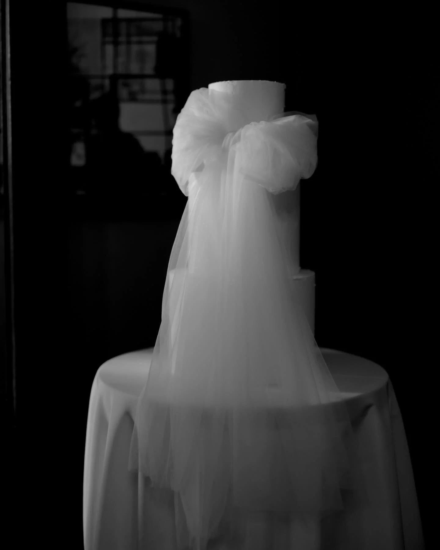 Emerging from shadow, wrapped in softness &mdash; a moment of quiet elegance.