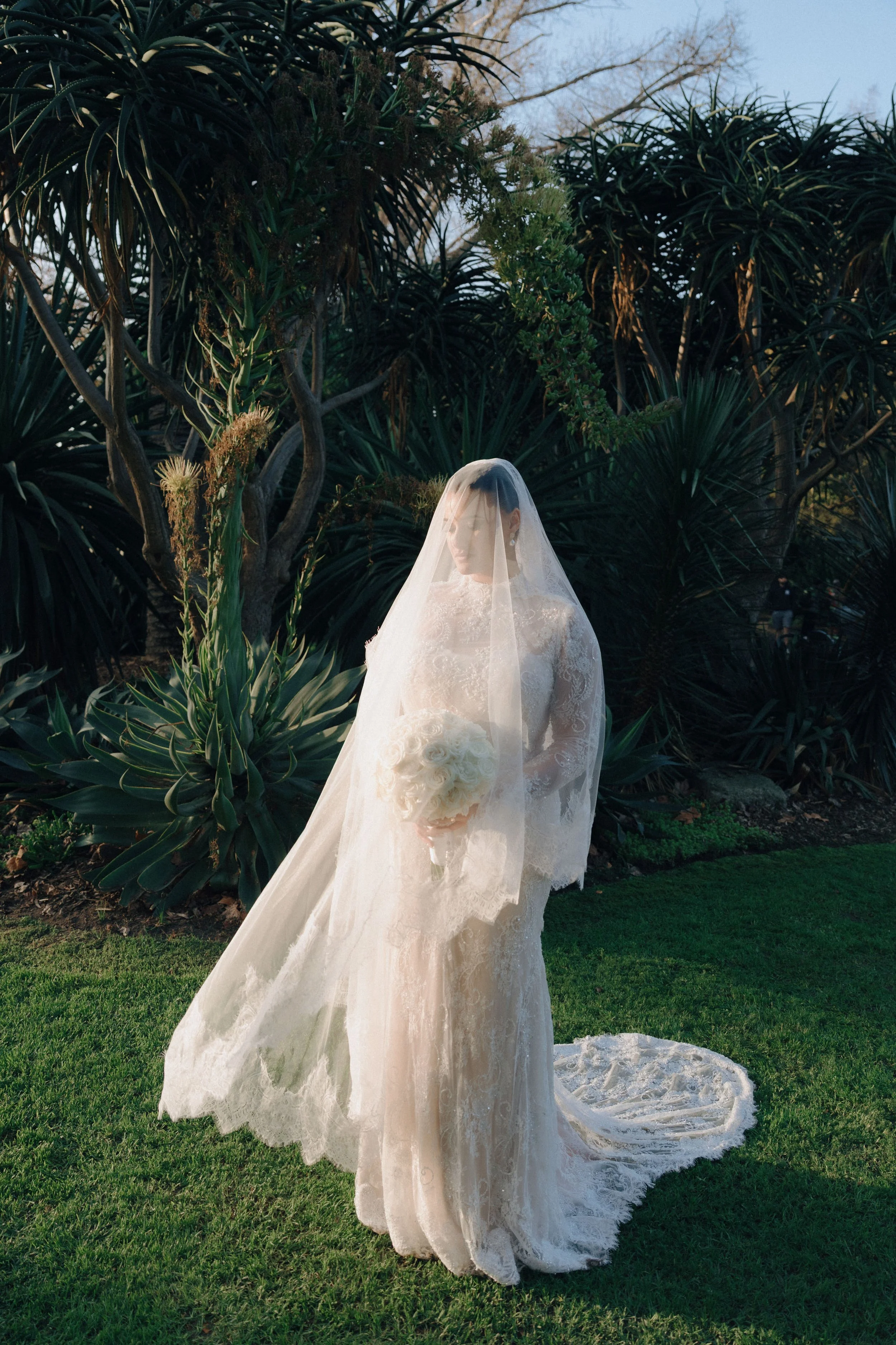 auntie-kim-collingwood-wedding-phototgraphy-ck-129.jpg