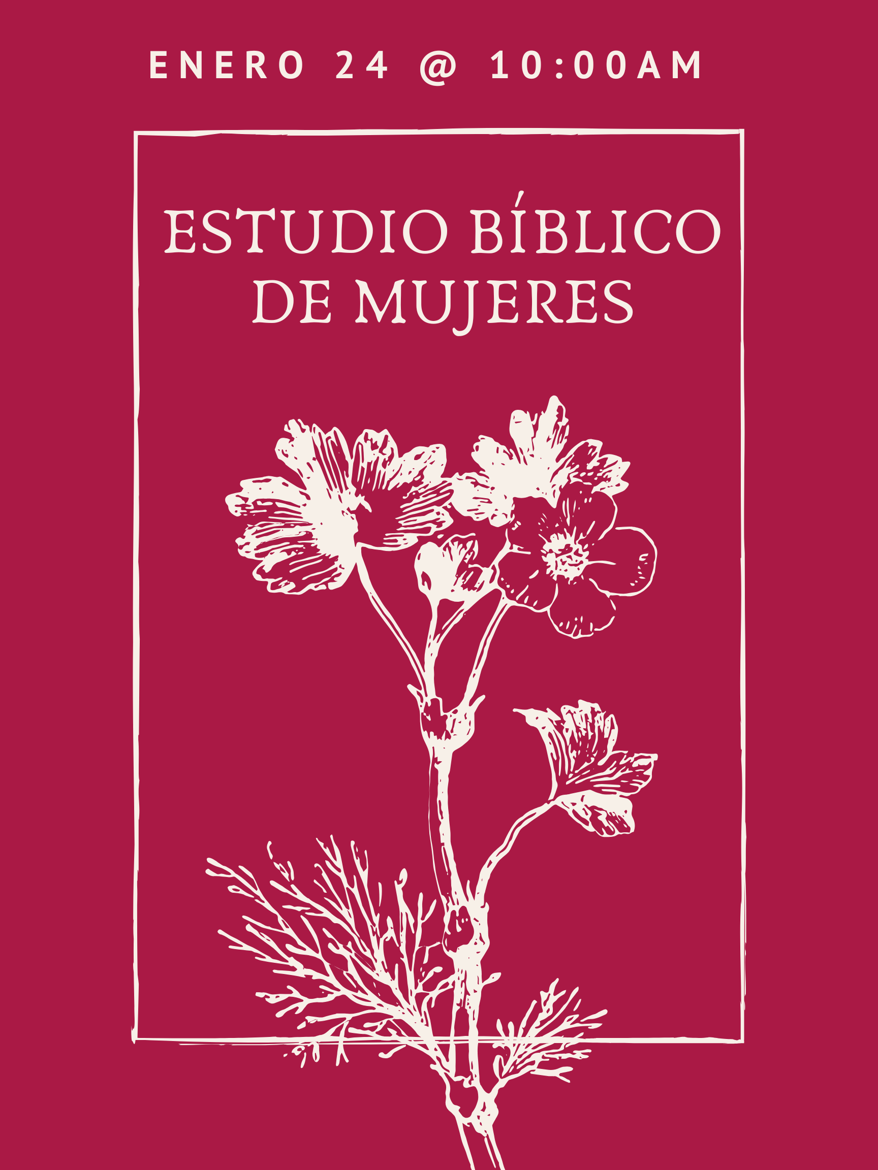 ESTUDIO BIBLICO DE MUJERES