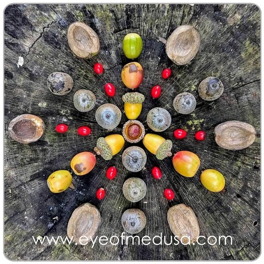 3"x3" Magnet - Yellow Acorns Mandala