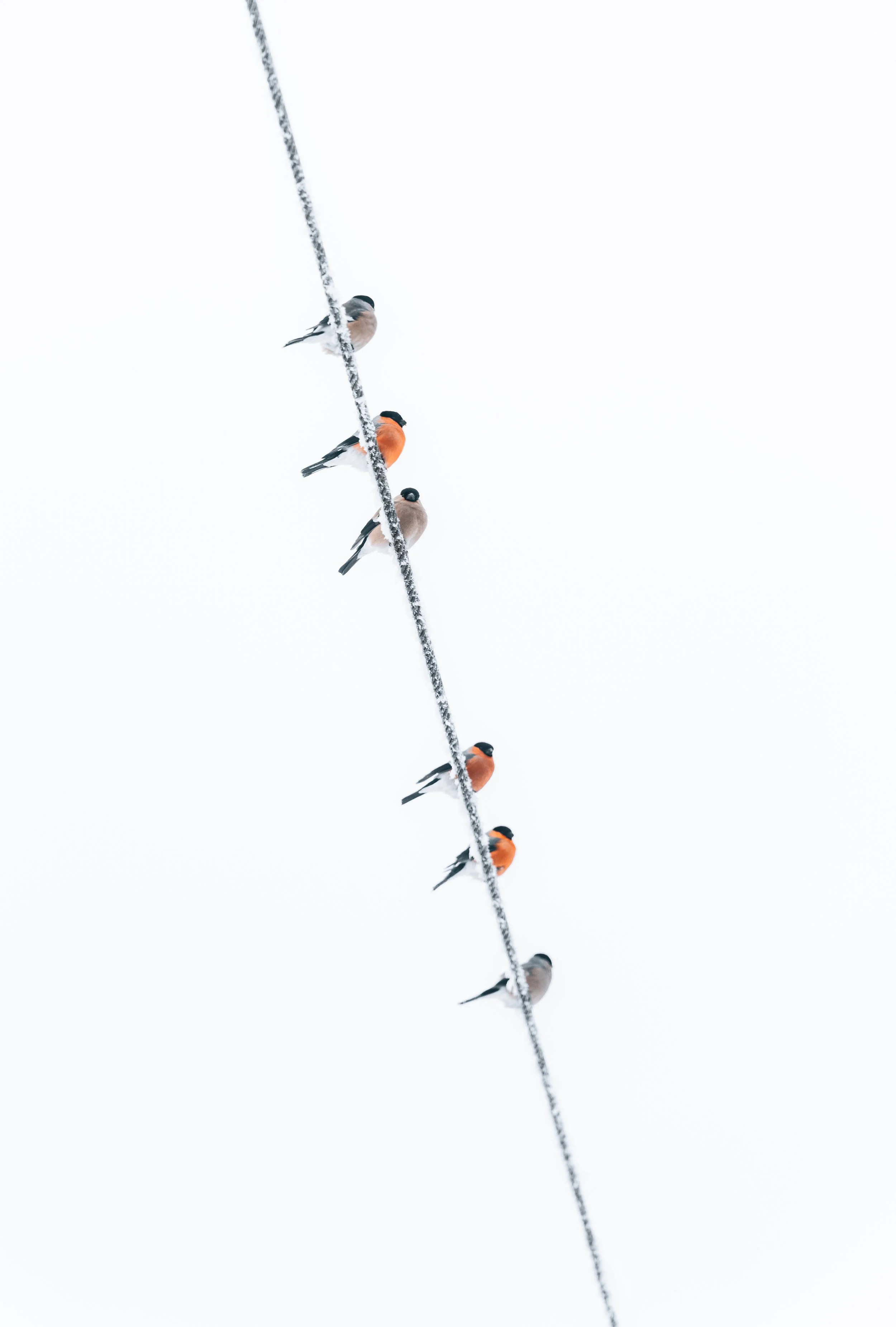 AR505435 - edited.jpg