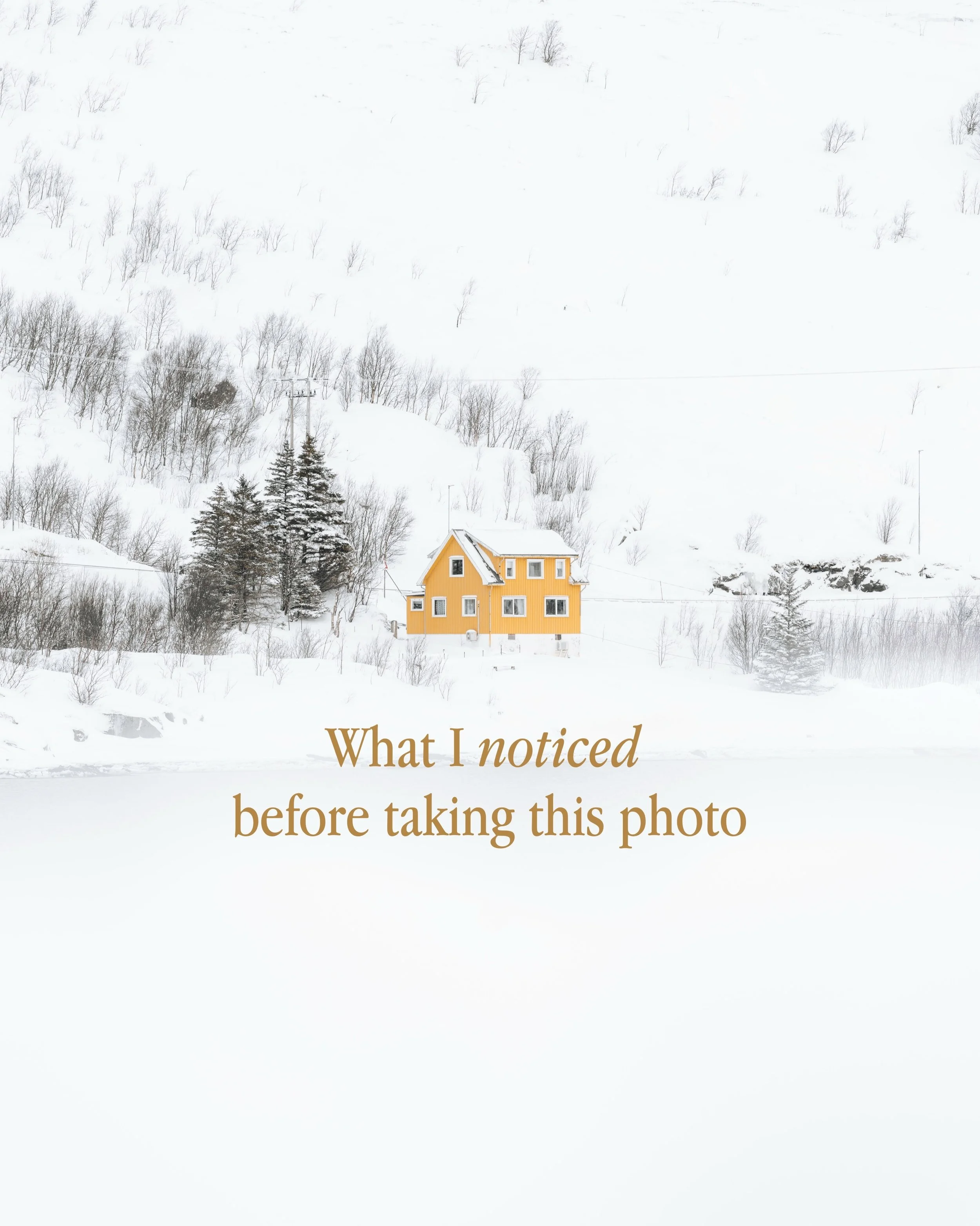 I was in Hamn&oslash;y for almost an hour just exploring when I spotted this.

Something about the tiny yellow cabin against all the snow made me stop.

Before taking the photo, I noticed:
&ndash; the isolation: it felt really far away from where I w
