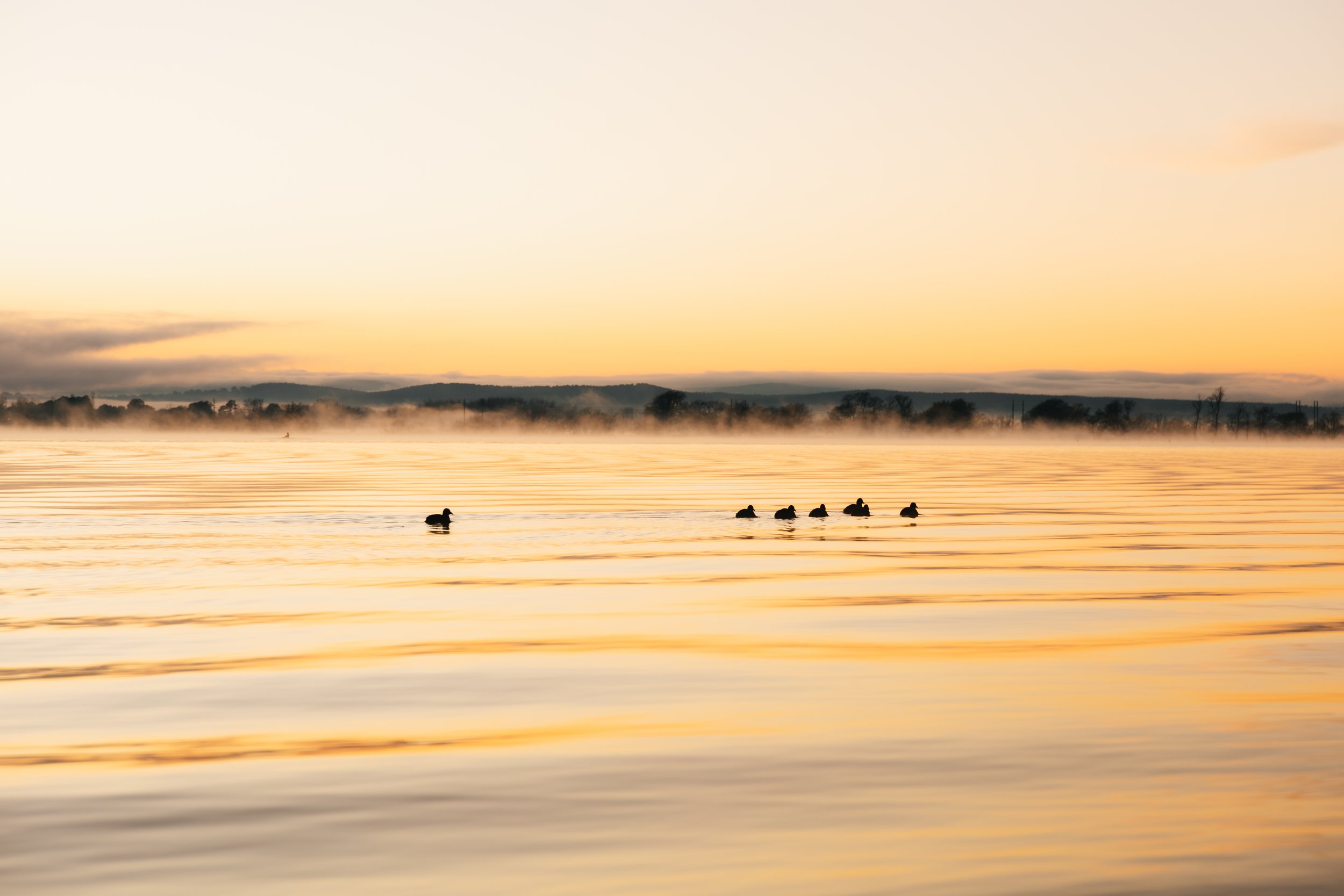 IMG_1488 - edit.jpg