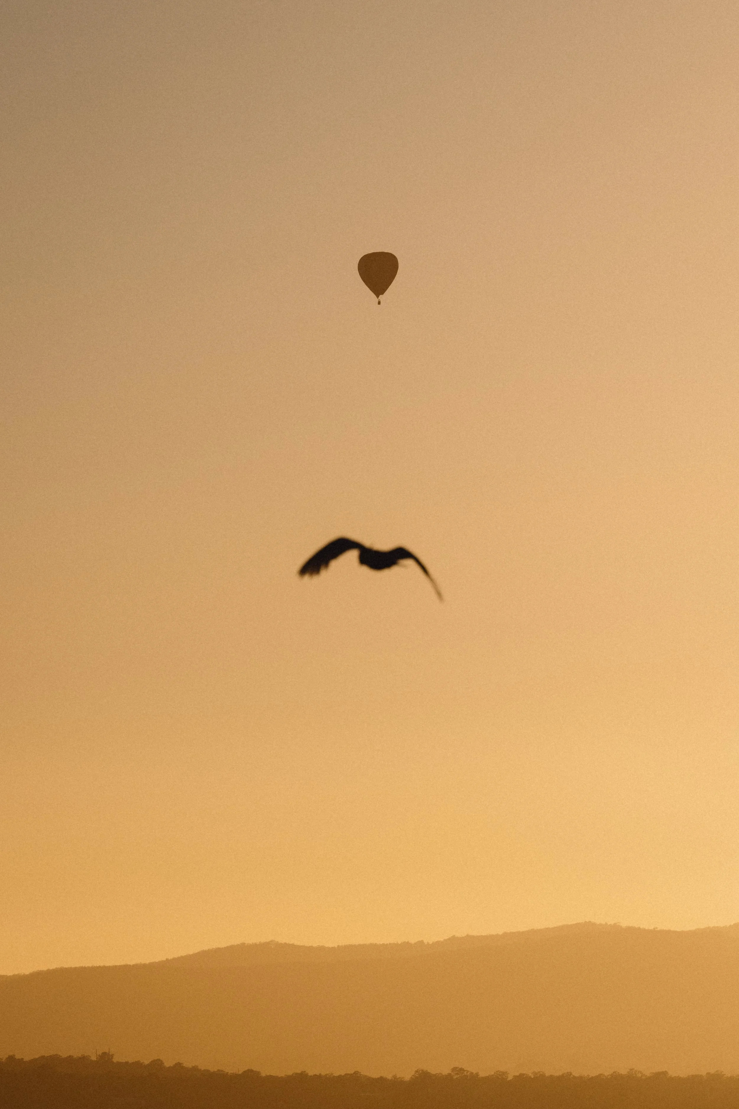 AR508567 - edited.jpg