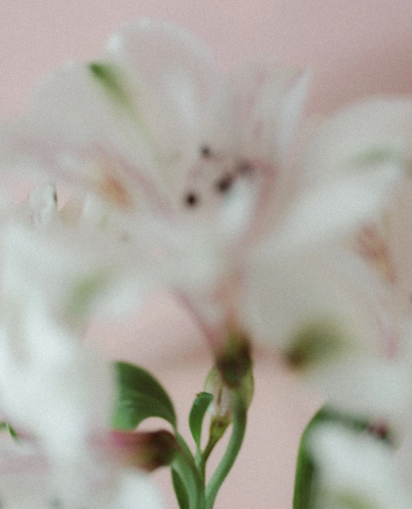 The effort you put in NOW is what pays off later. Flowers don't bloom overnight, and neither do most businesses. Consistency is key. You got this!