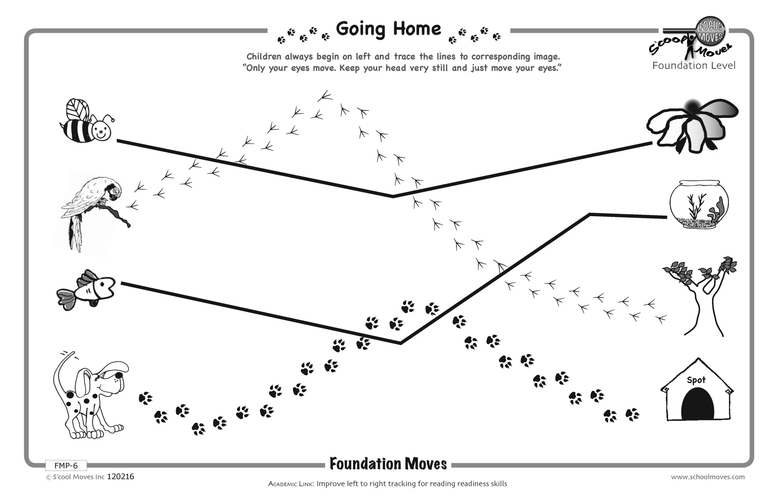 Foundation Moves Book and Posters for Preschool and Transition
