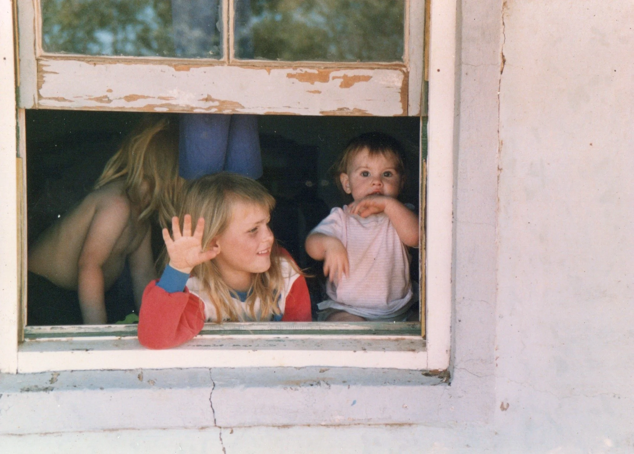 window 3  2.jpg