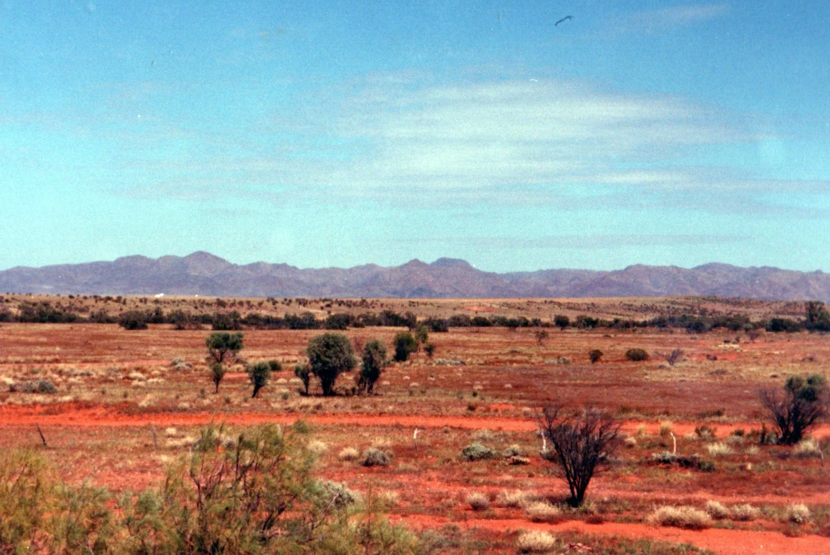 landscape  2.jpg
