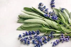 lavender sage.jfif