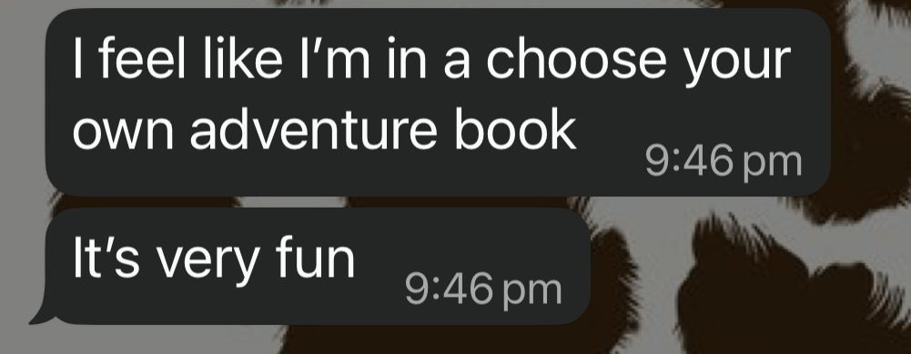 Choose your own adventure