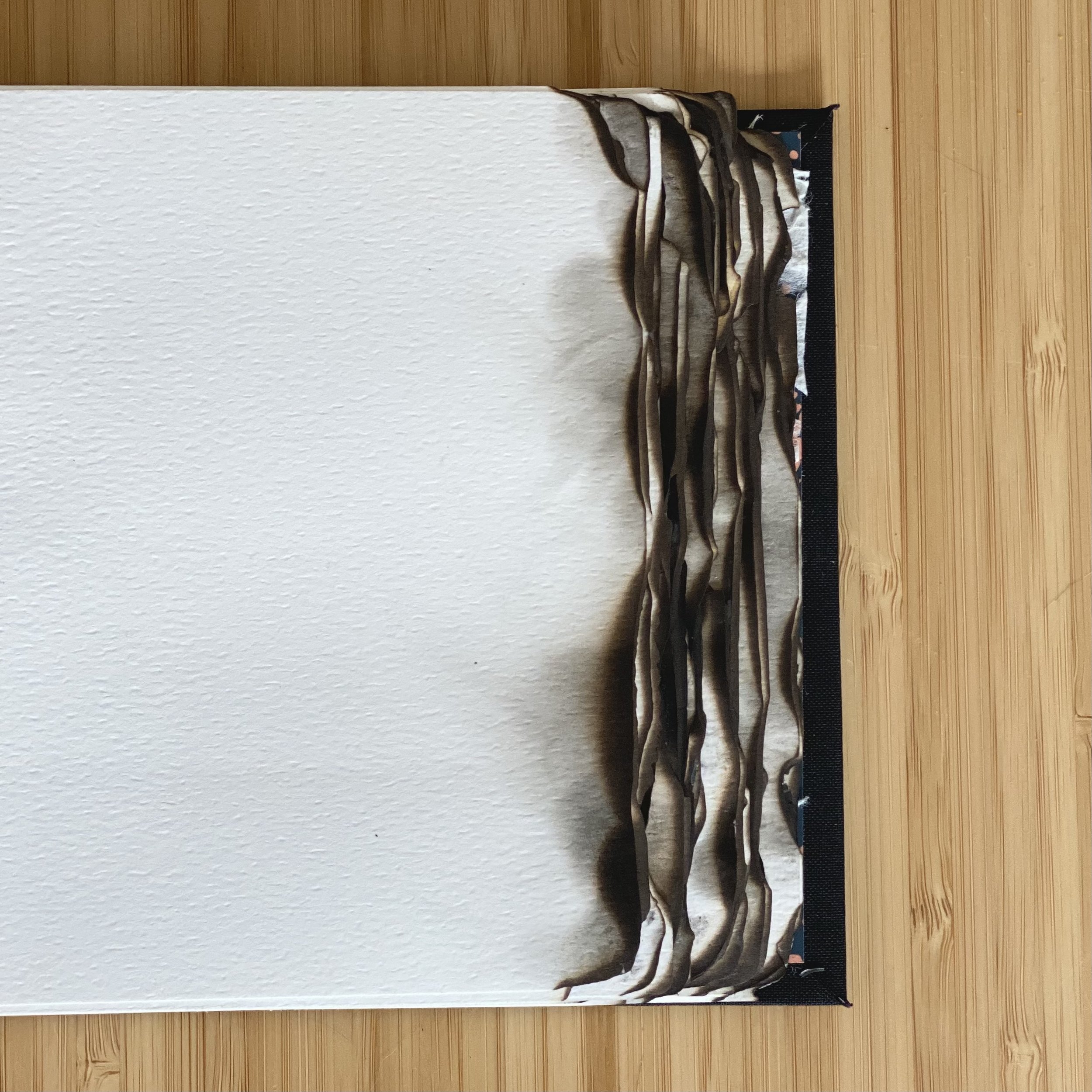 Guestbook for Brasa Haya, a resturant serving Spanish cuisine in Portland, OR, was one of my favorites to create. The inside cover displays a sample of the wallpaper. Burnt paper edges give a nod to the restaurant's name which translates to “beech em