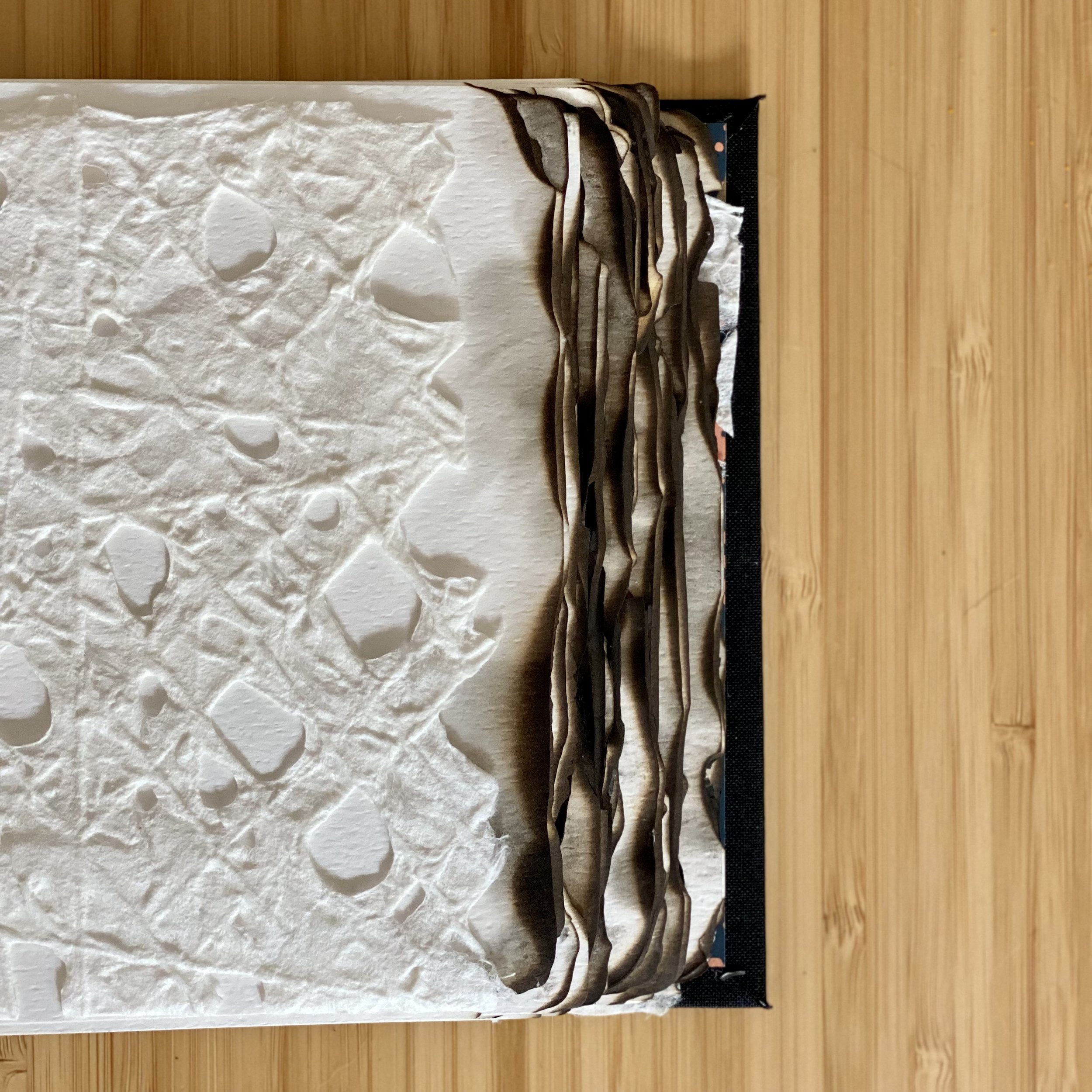 Guestbook for Brasa Haya, a resturant serving Spanish cuisine in Portland, OR, was one of my favorites to create. The inside cover displays a sample of the wallpaper. Burnt paper edges give a nod to the restaurant's name which translates to “beech em