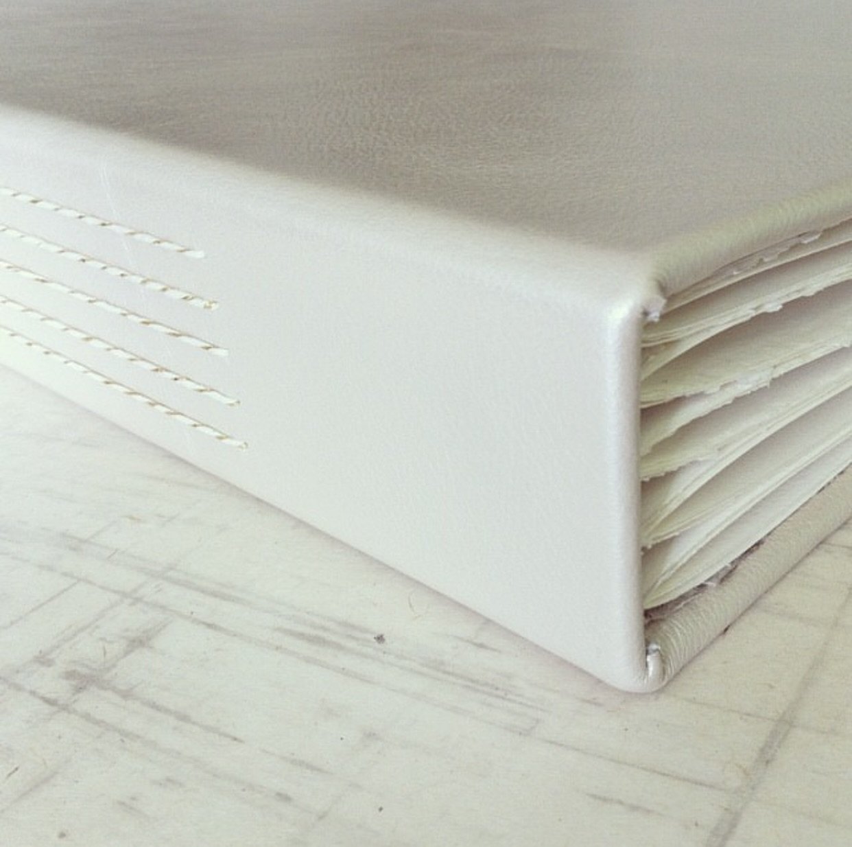 Wedding album covered in cream leather and wrapped with a silk ribbon. 14" square.
