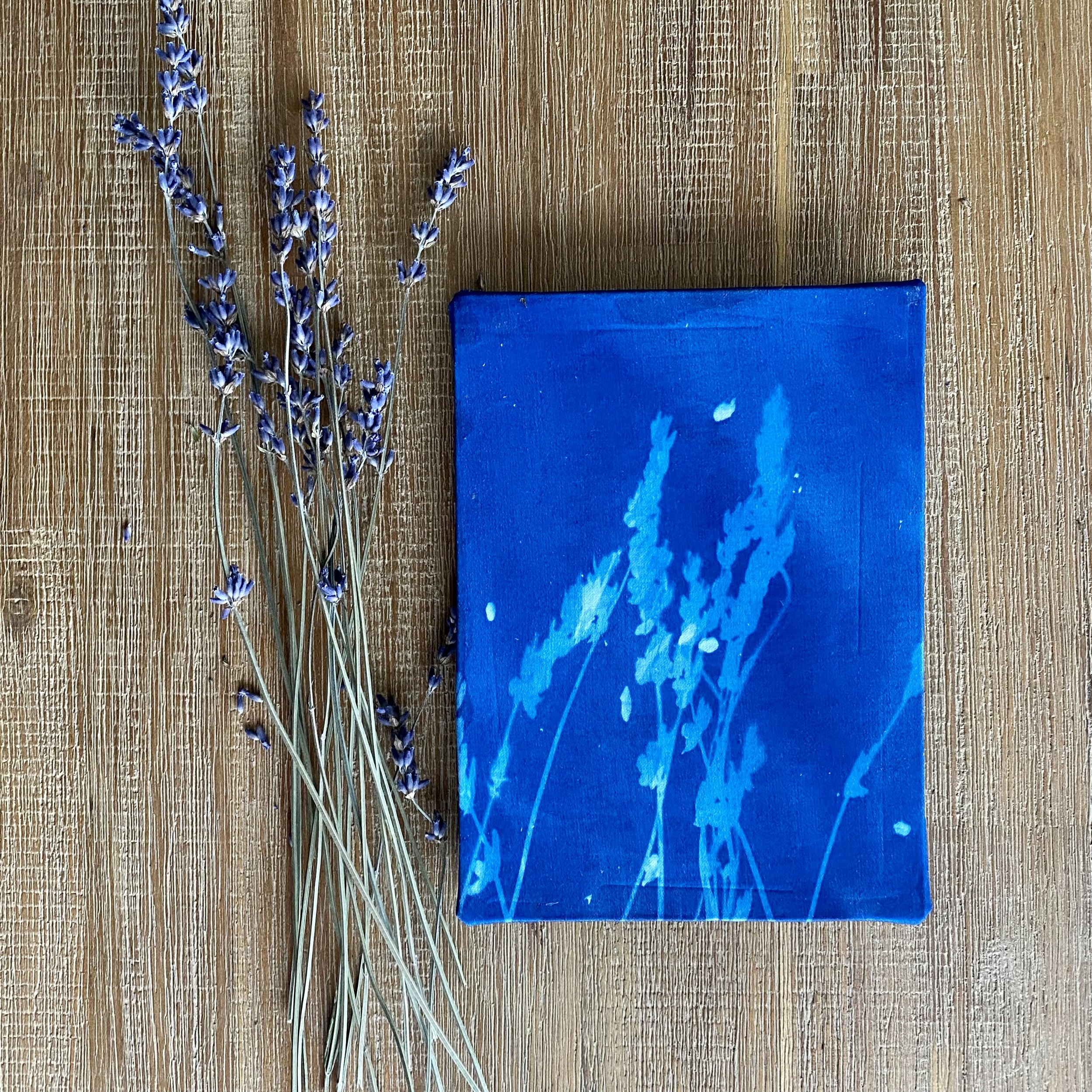 Luberon Lavender, 2023.