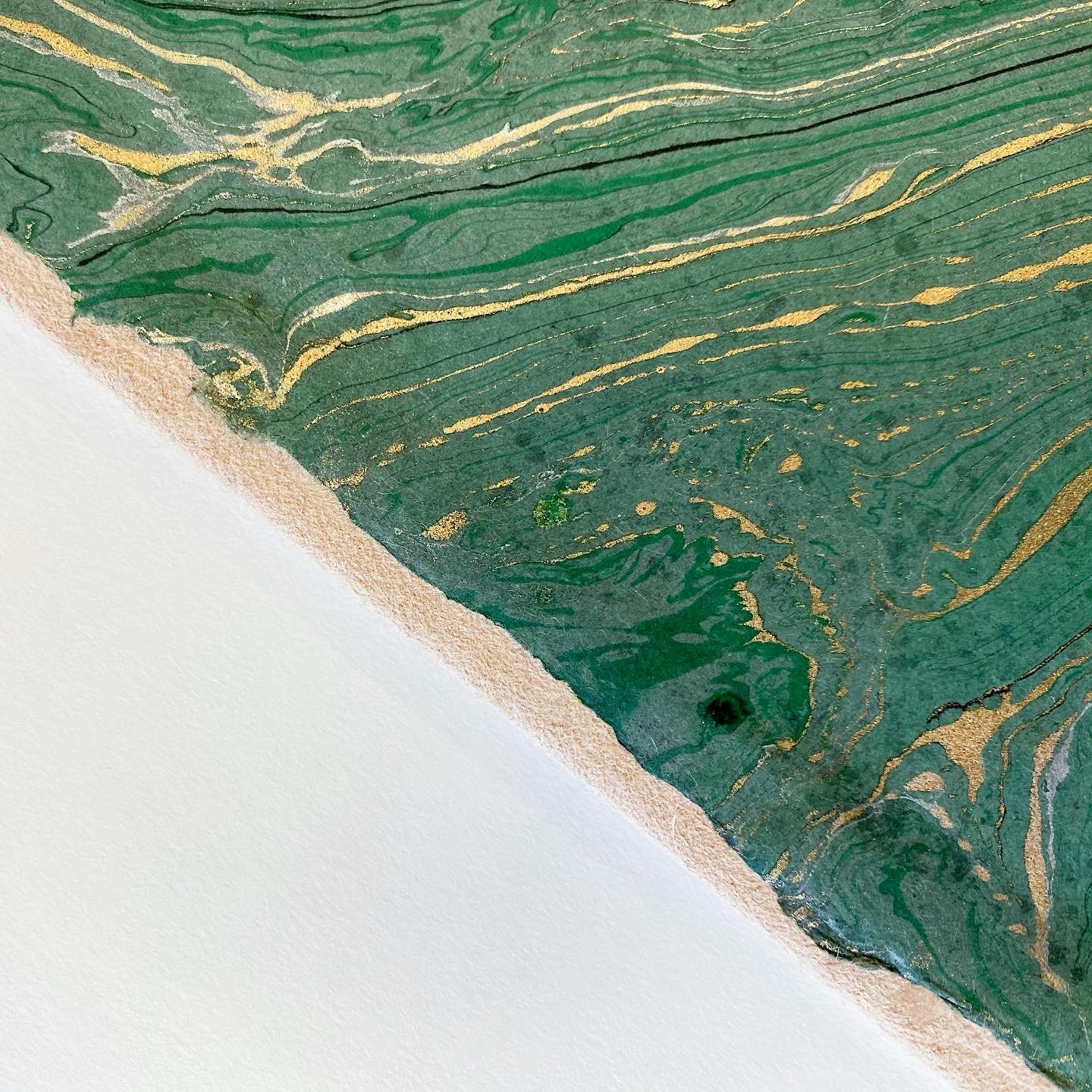 10" square leather-covered album with green and gold marbled inside covers.