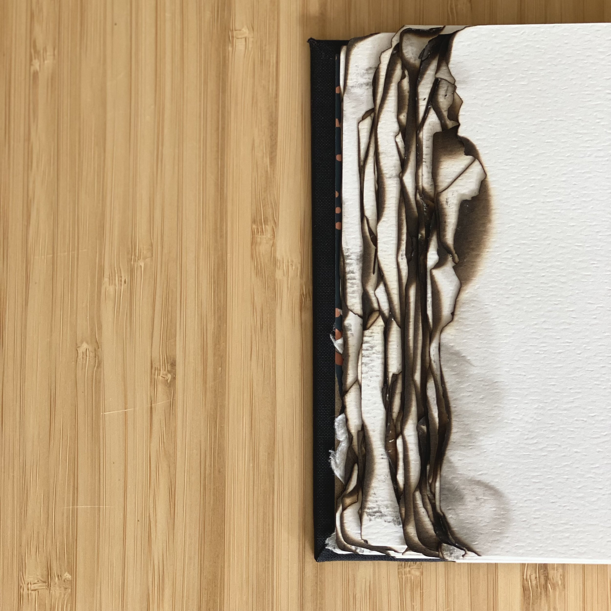 Guestbook for Brasa Haya, a resturant serving Spanish cuisine in Portland, OR, was one of my favorites to create. The inside cover displays a sample of the wallpaper. Burnt paper edges give a nod to the restaurant's name which translates to “beech em