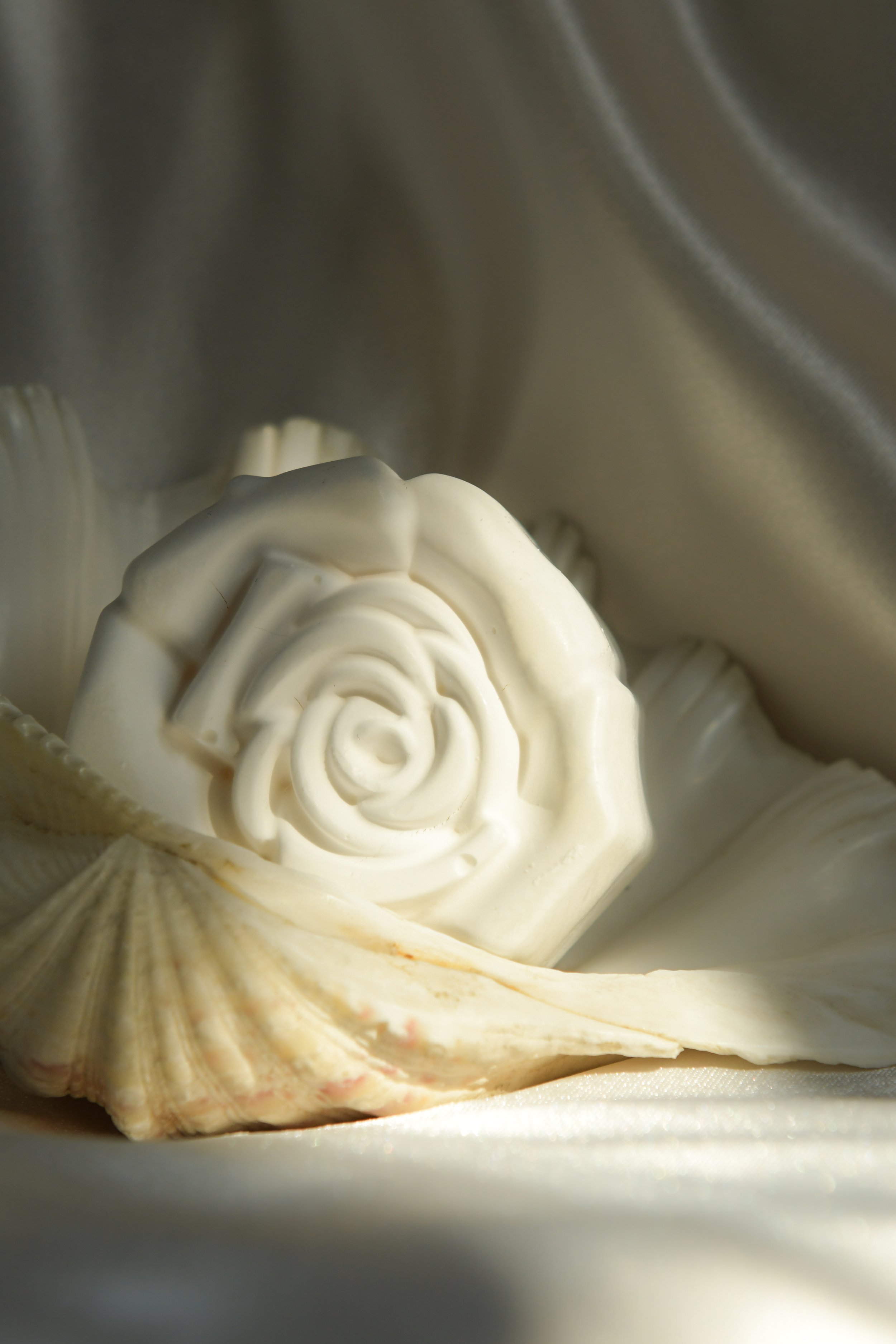 DSC_6693_1.jpg