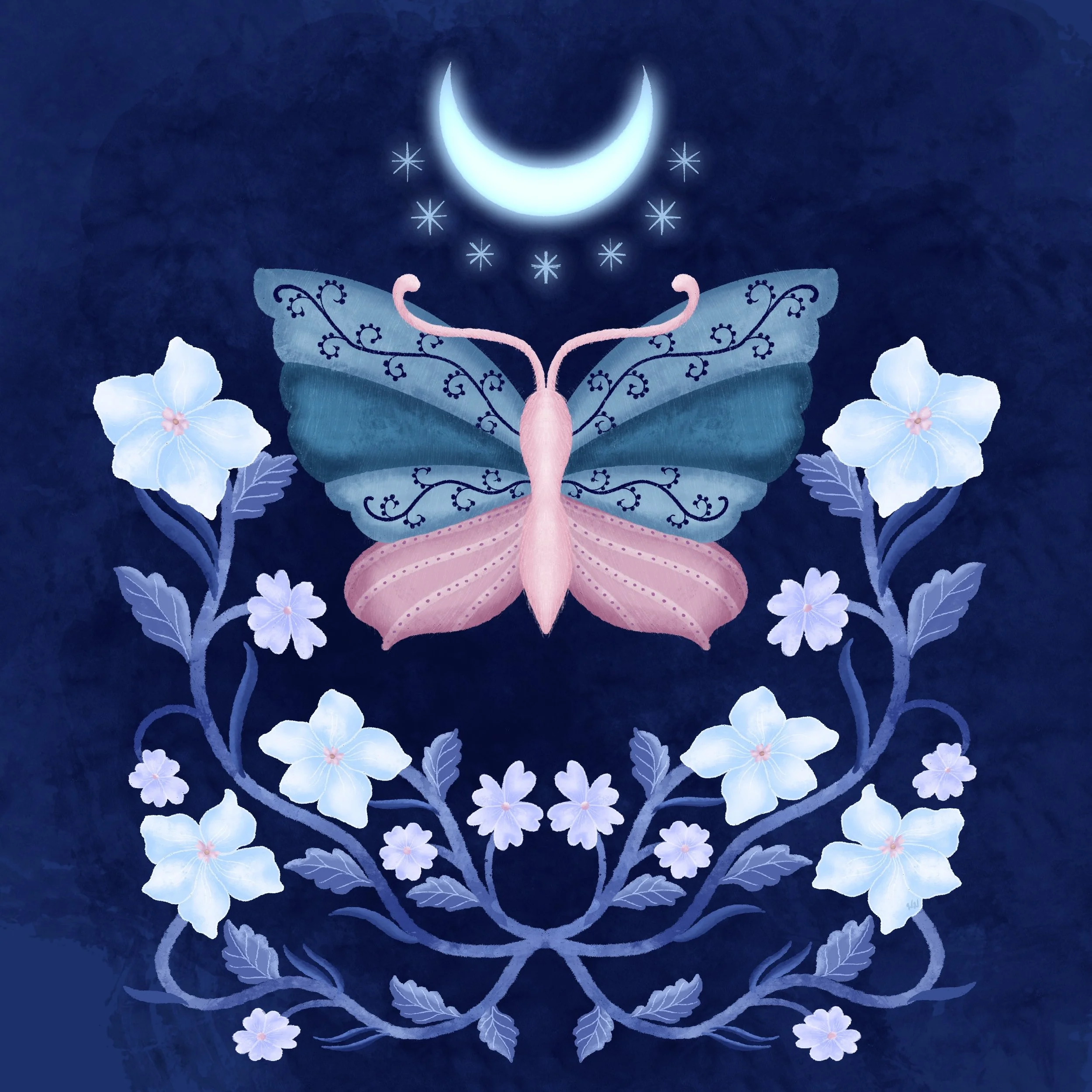 Midnight Butterfly.JPG