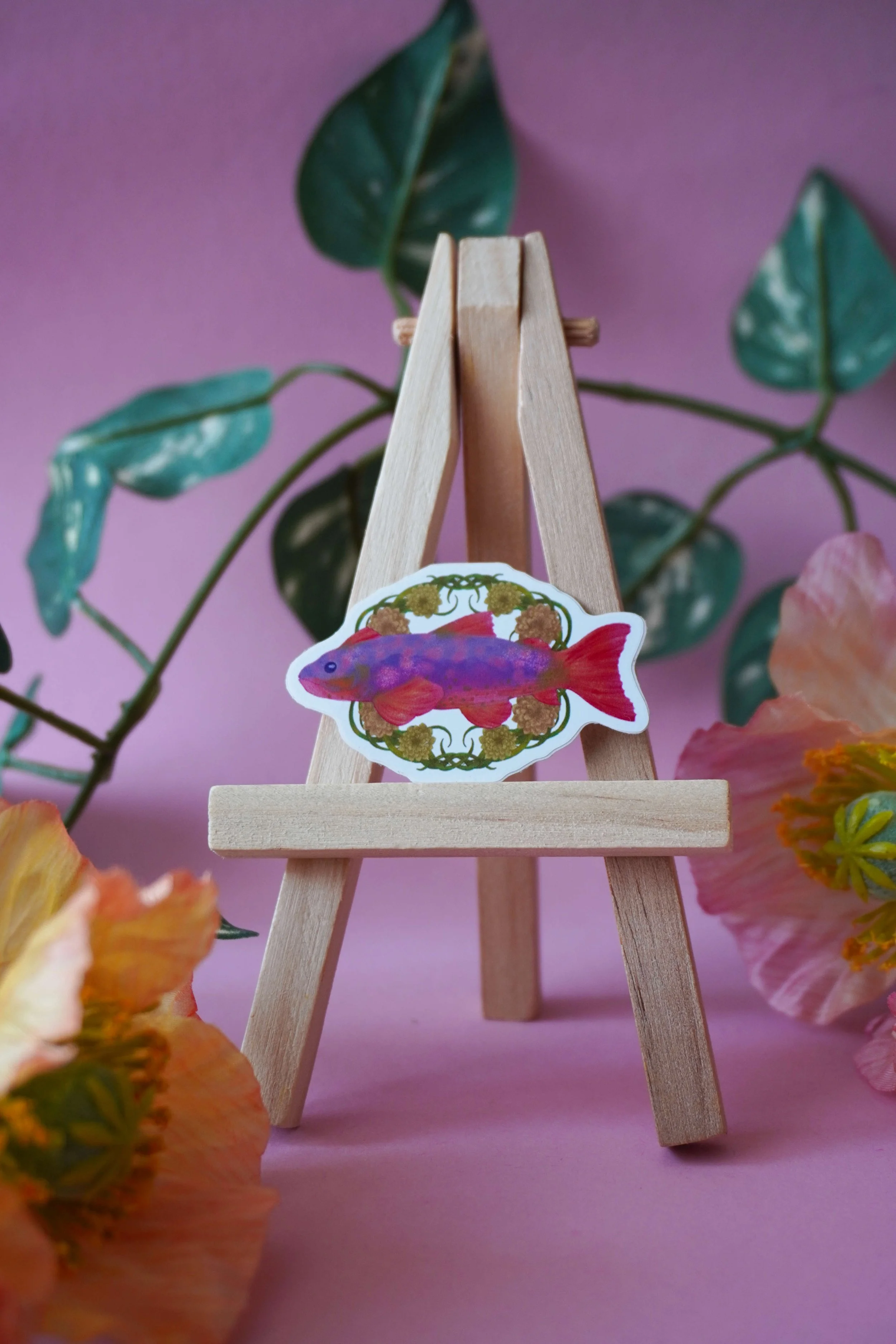 Pond Trout