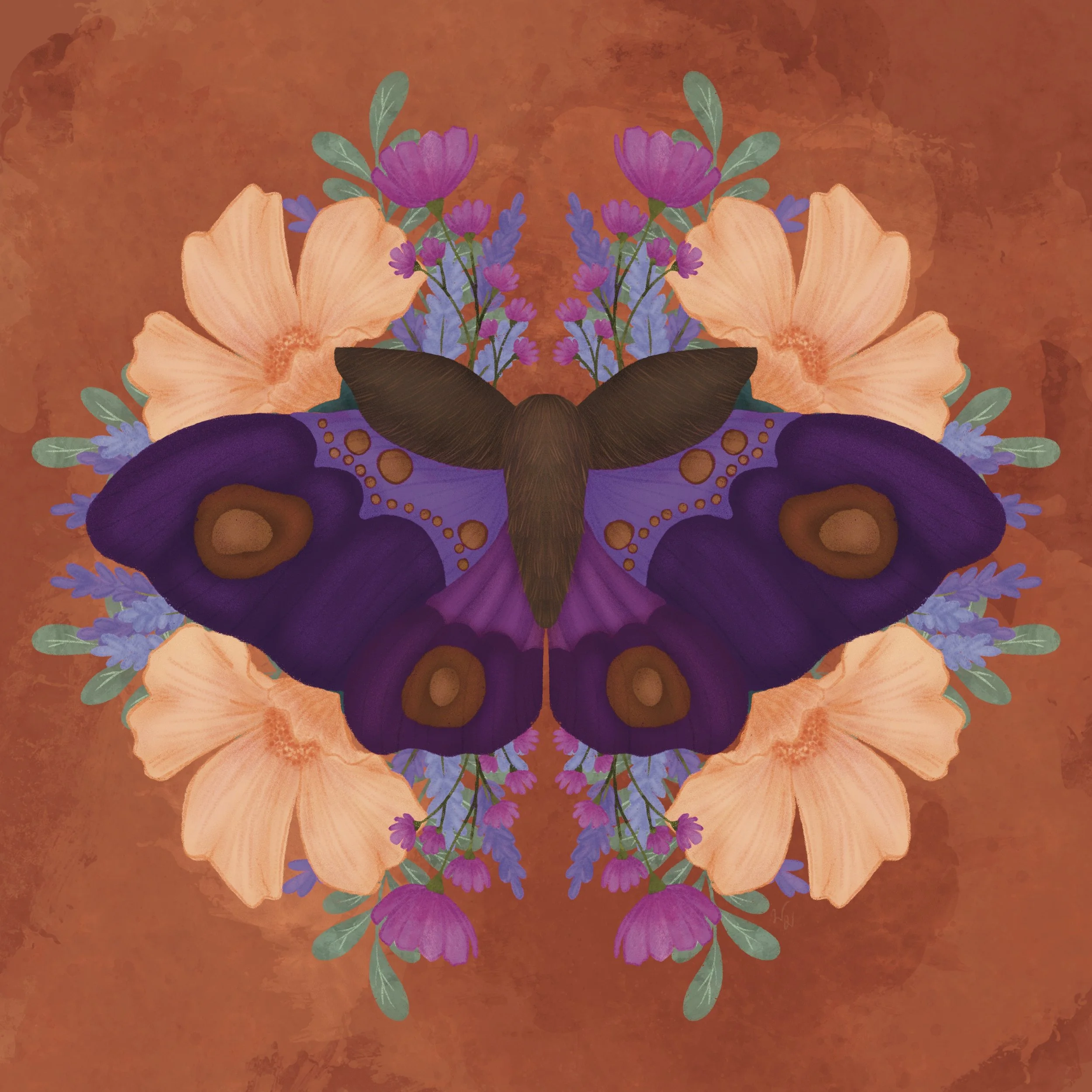 Bonanza Moth