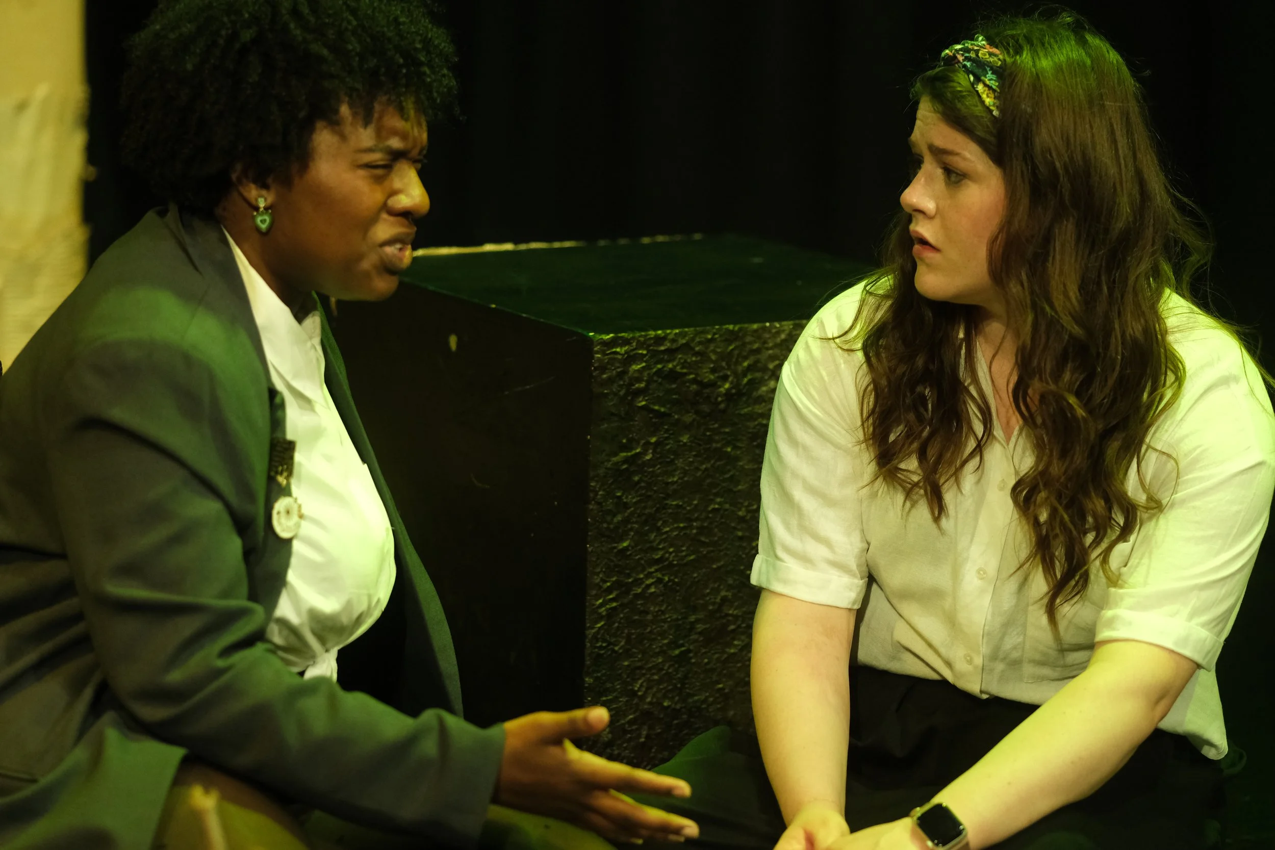 We Used to be girl Scouts87.JPG