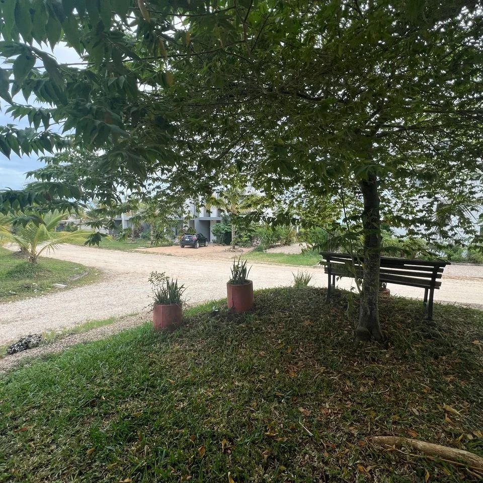 image3 (6).jpeg