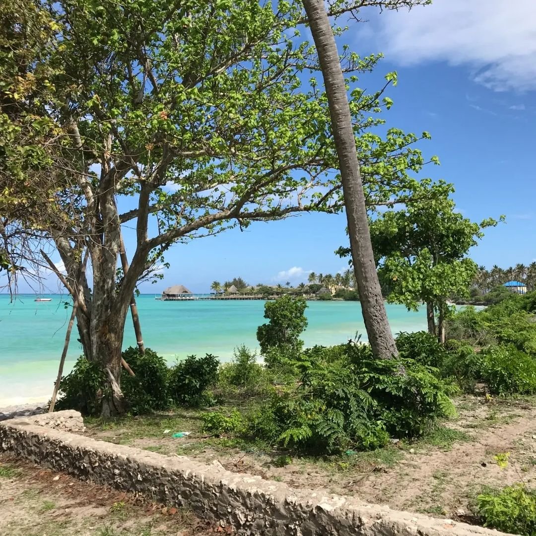 image1 (4).jpeg
