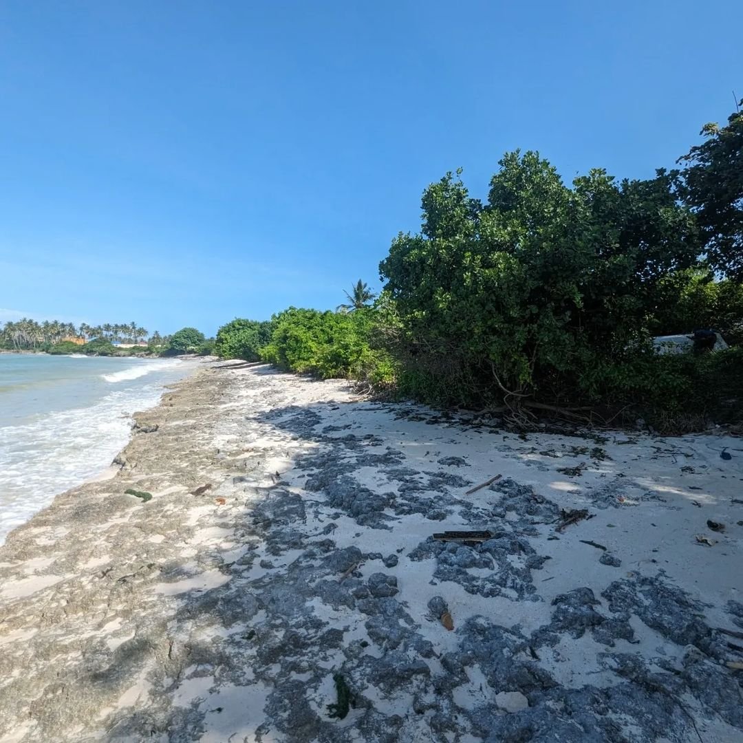 image5 (4).jpeg