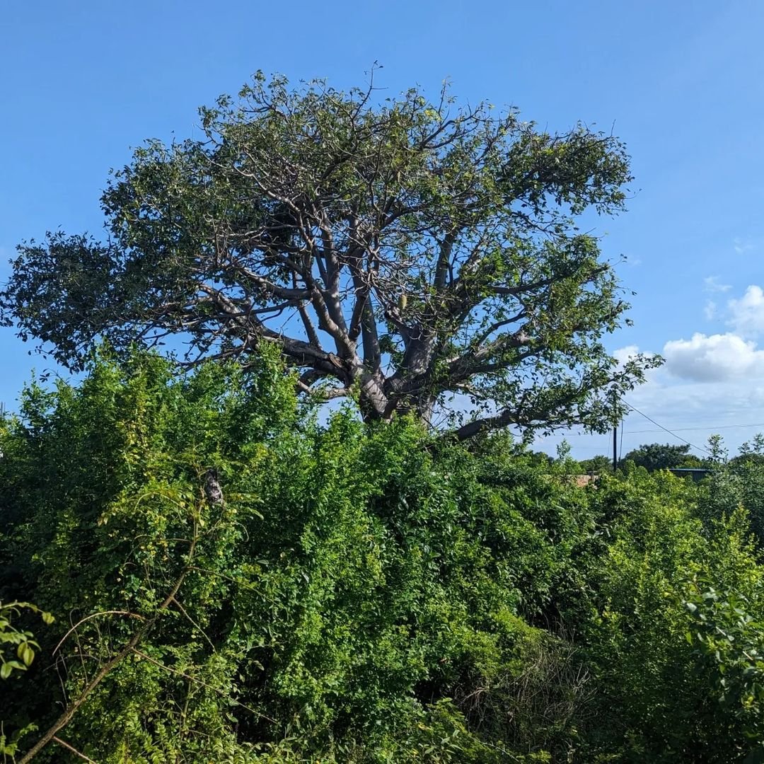 image8 (3).jpeg