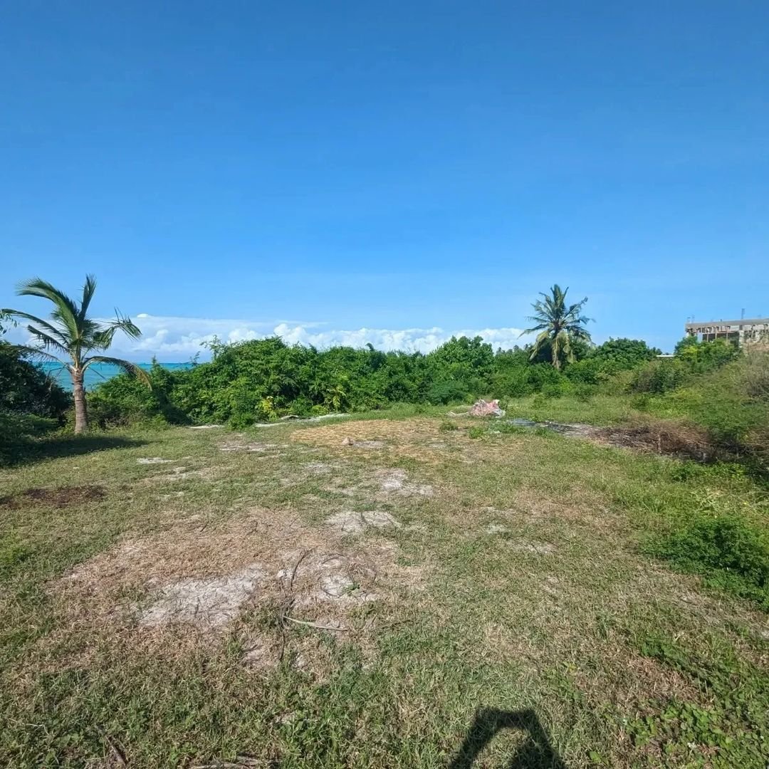 image7 (4).jpeg