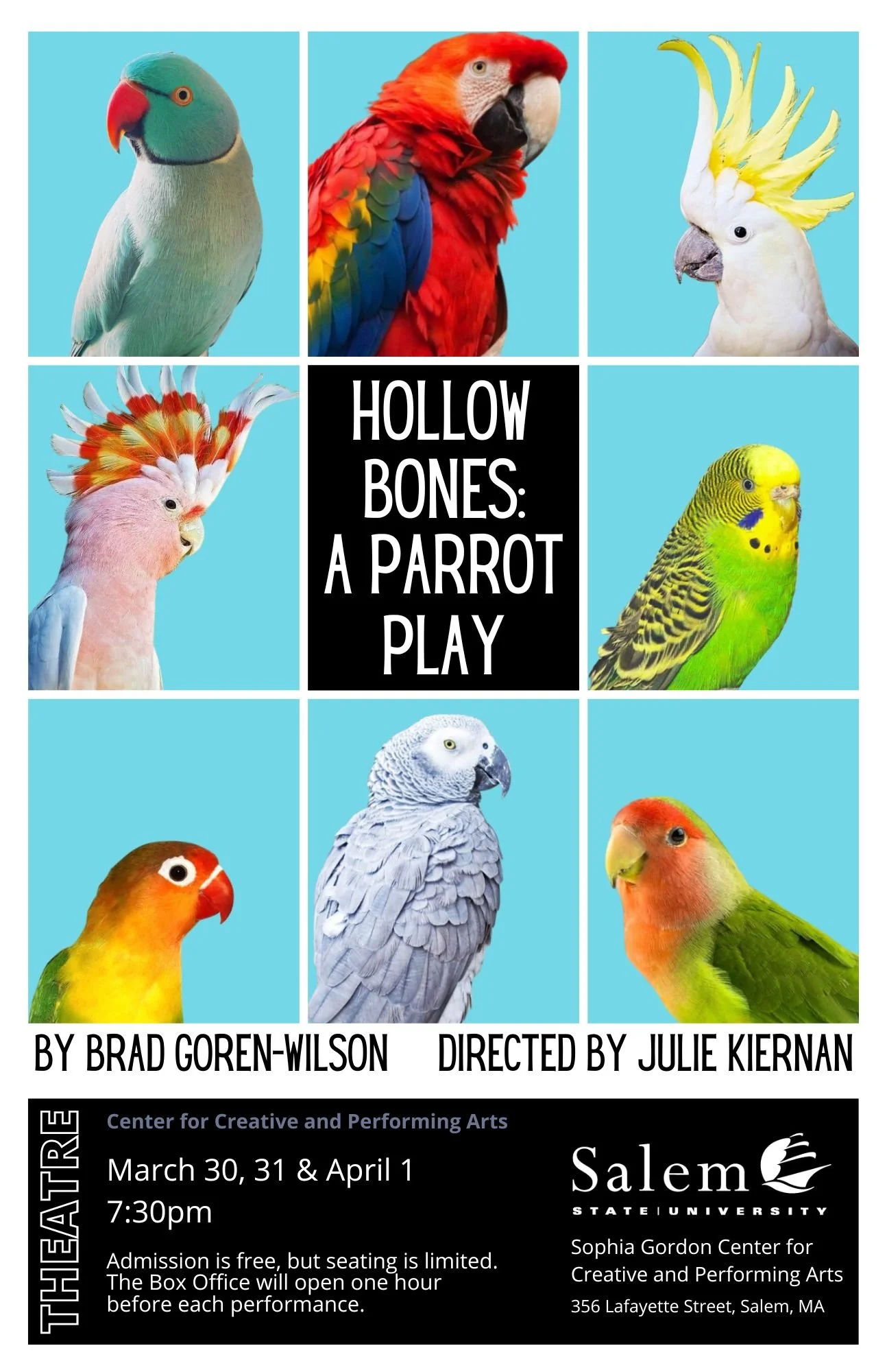 Parrot Play