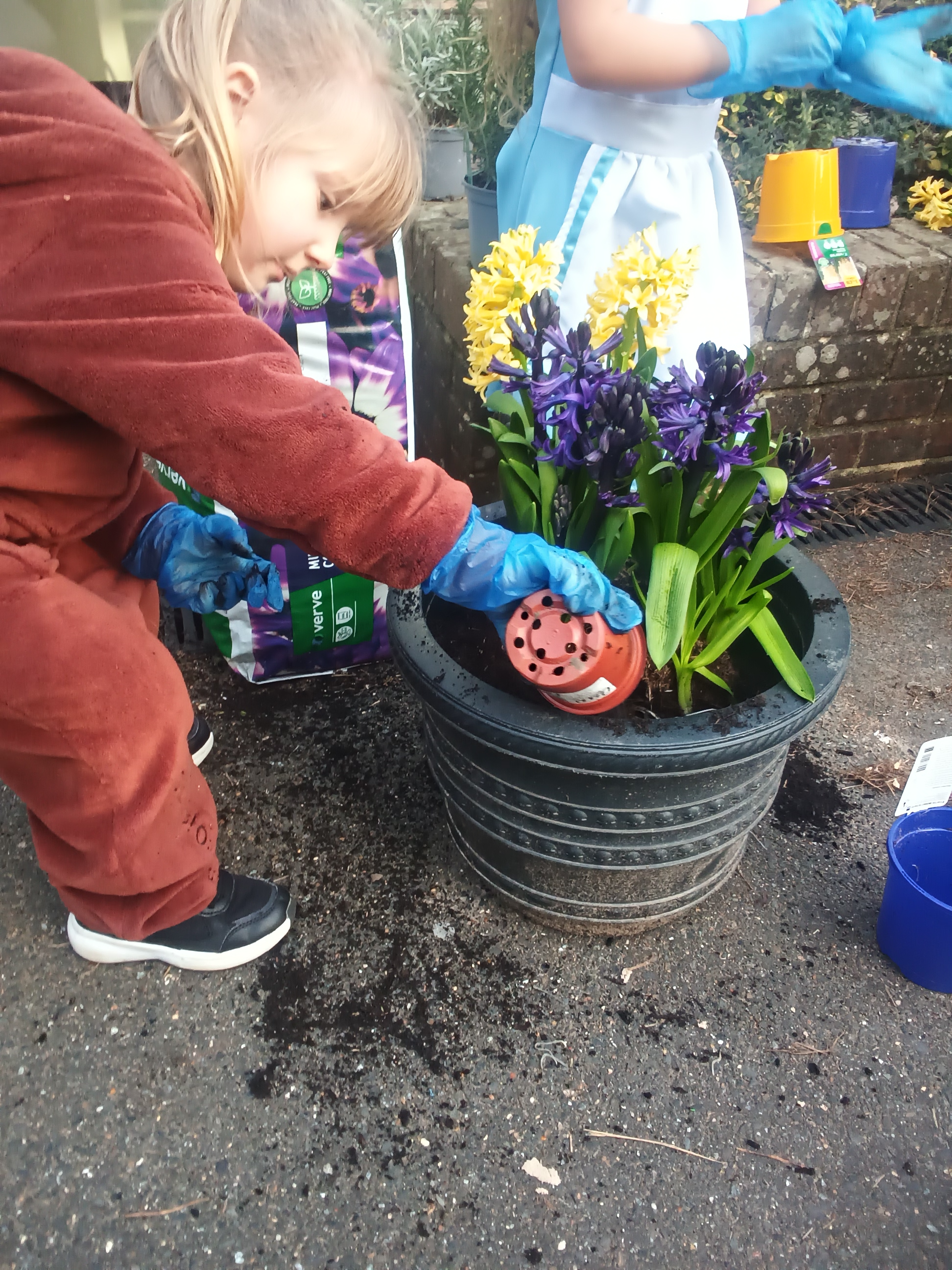 IMG_20260305_153455_2 (1).png