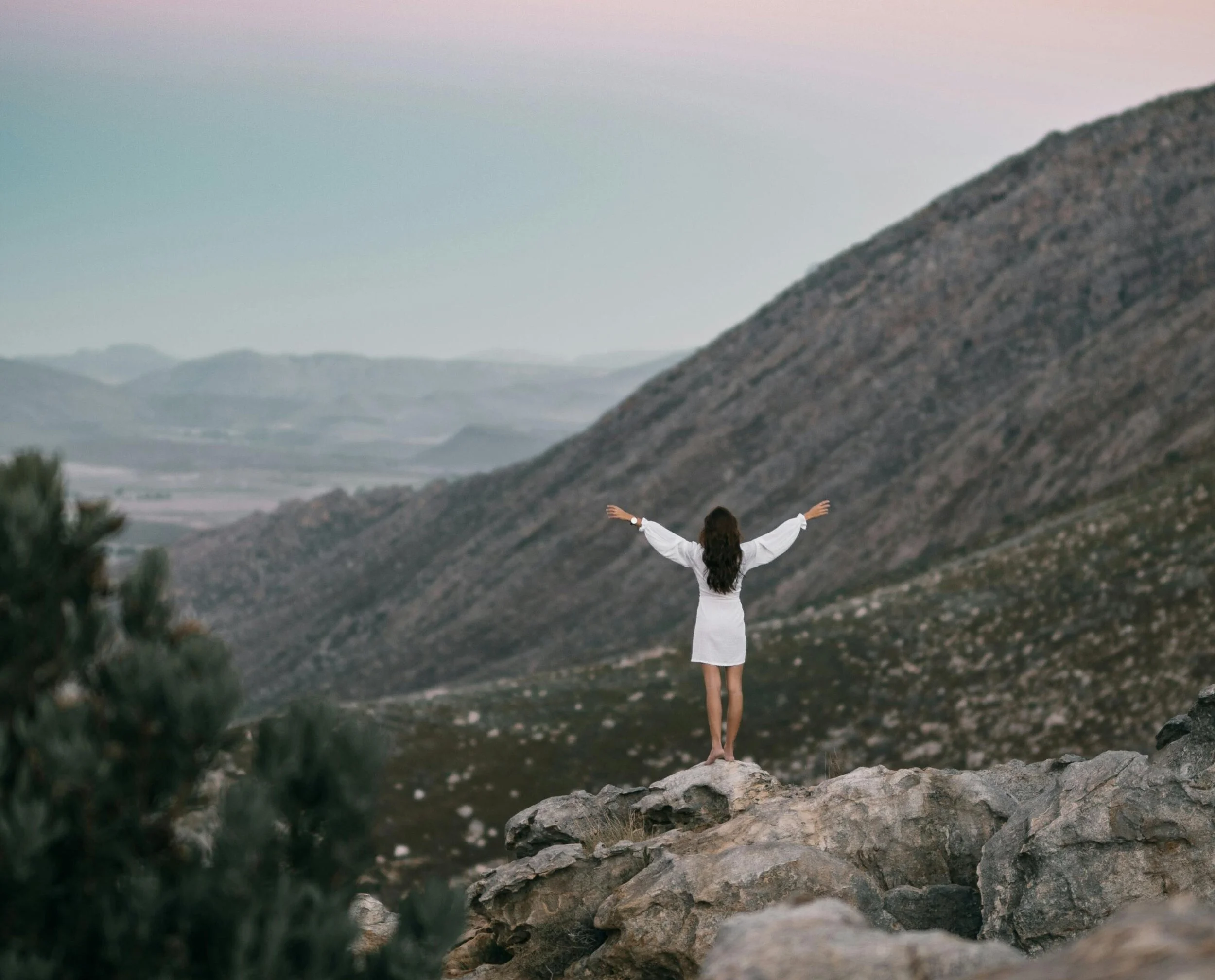 FREE Online Group Session: Somatic Reflections