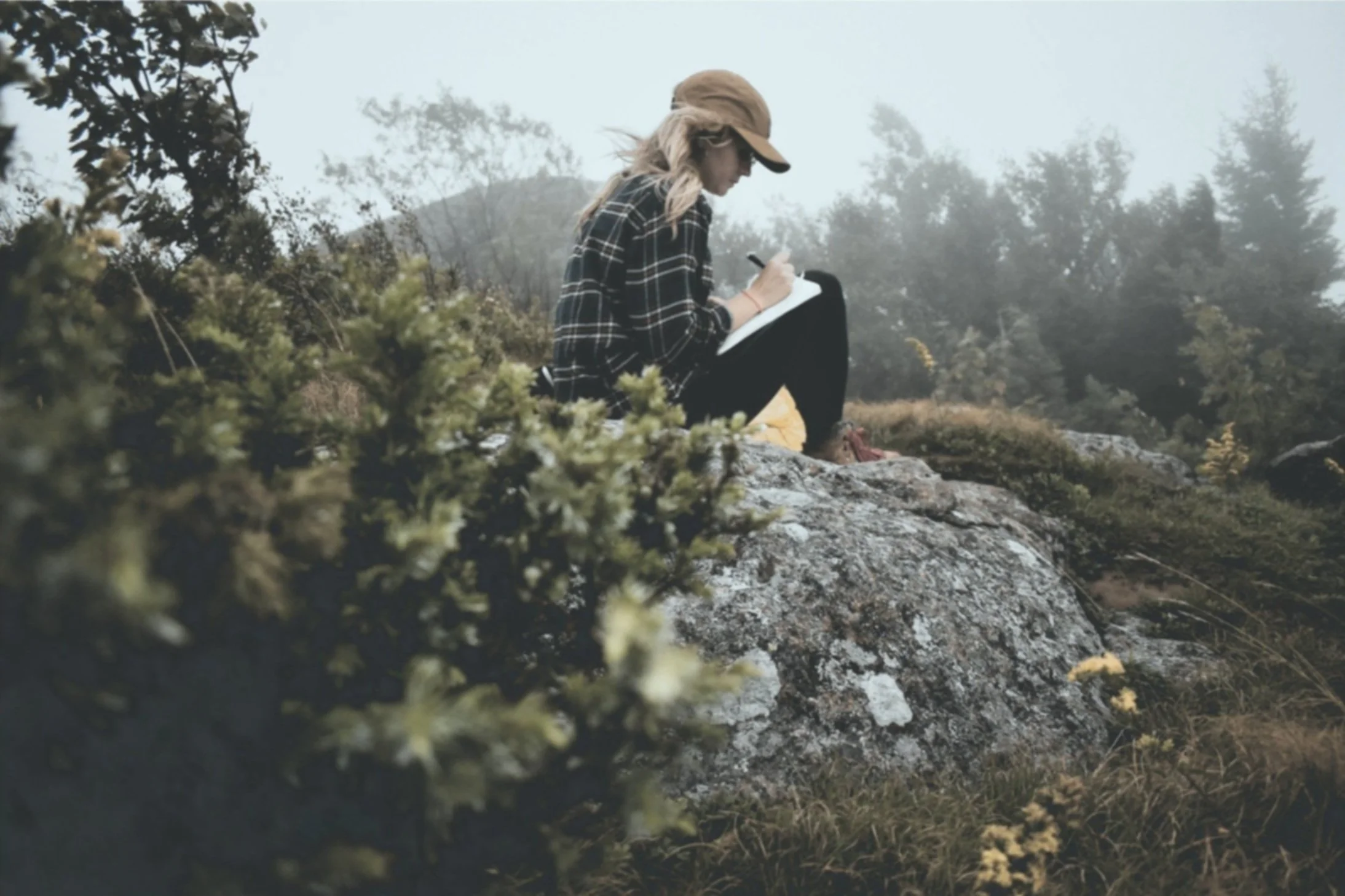 unsplash-image-WA_O4UAUfxc.jpg