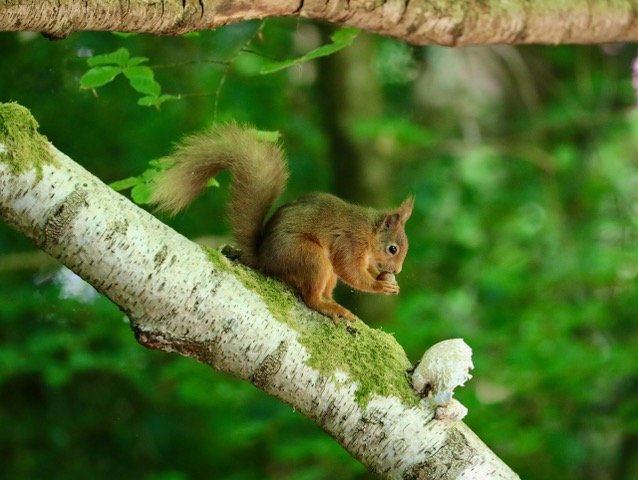 Seen by Julian from KRSG in Keswick