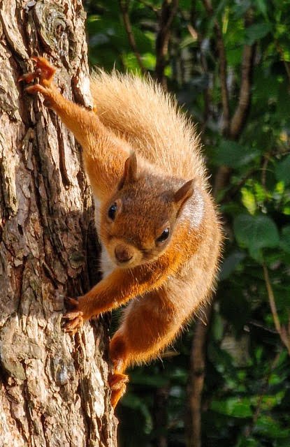 John T in Stonethwaite
