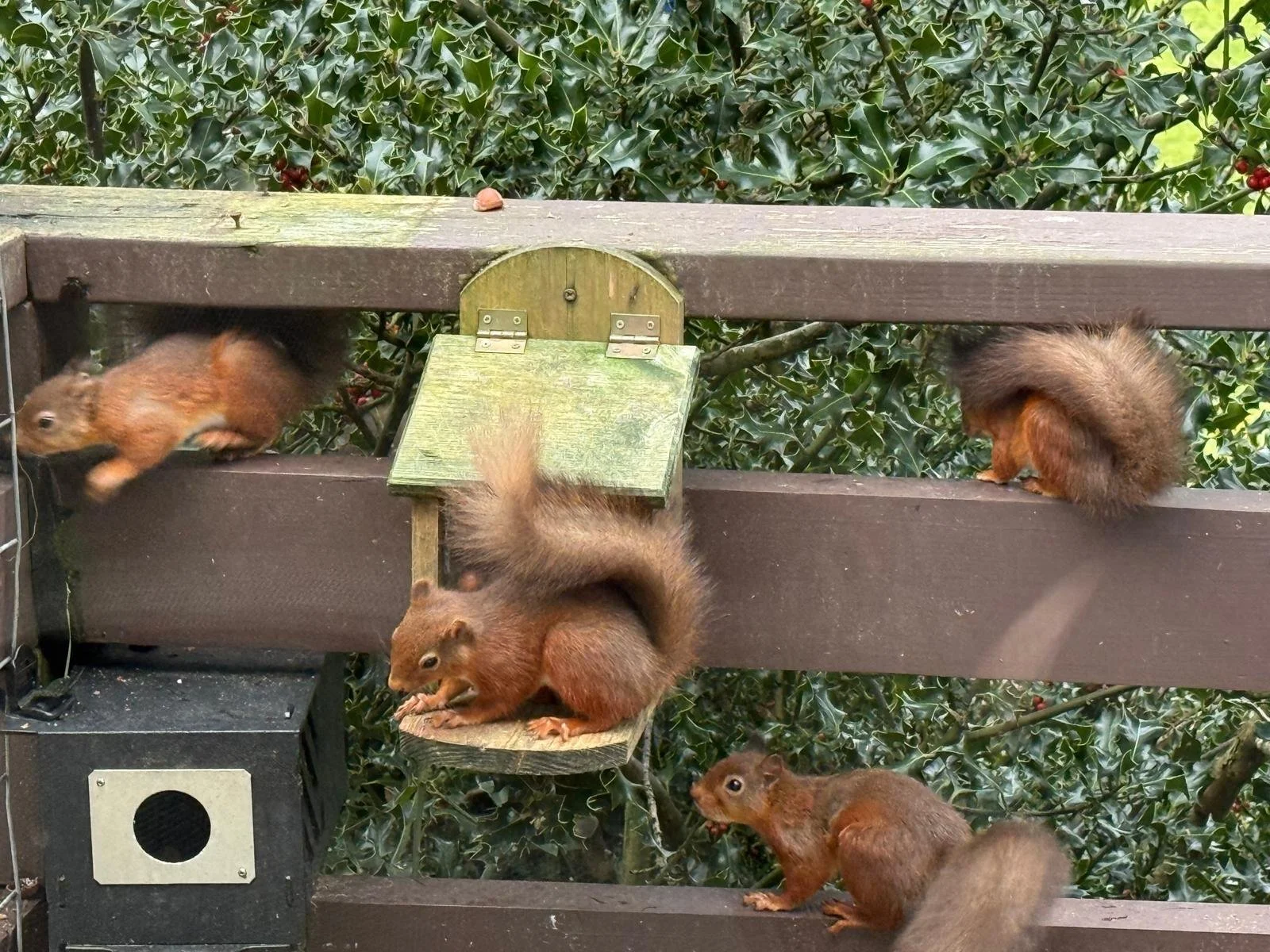 The Thornthwaite Five (one was just off camera!) Everybody is delighted... 
