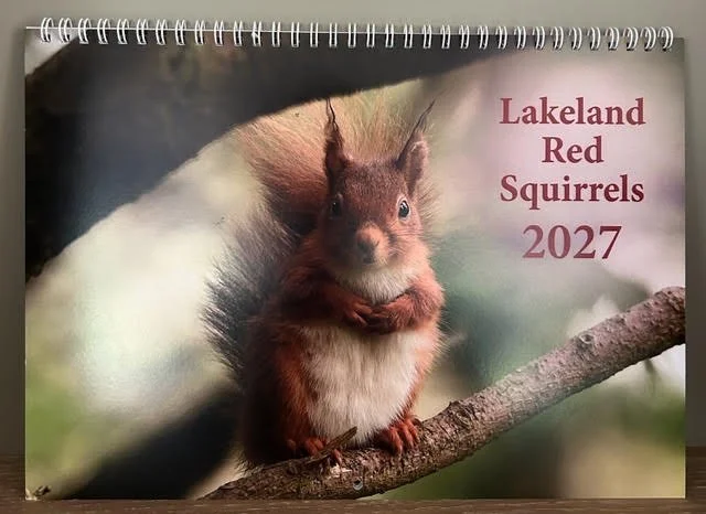 Keswick red squirrel group calendar 2027.jpg