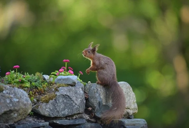 John from Borrowdale.