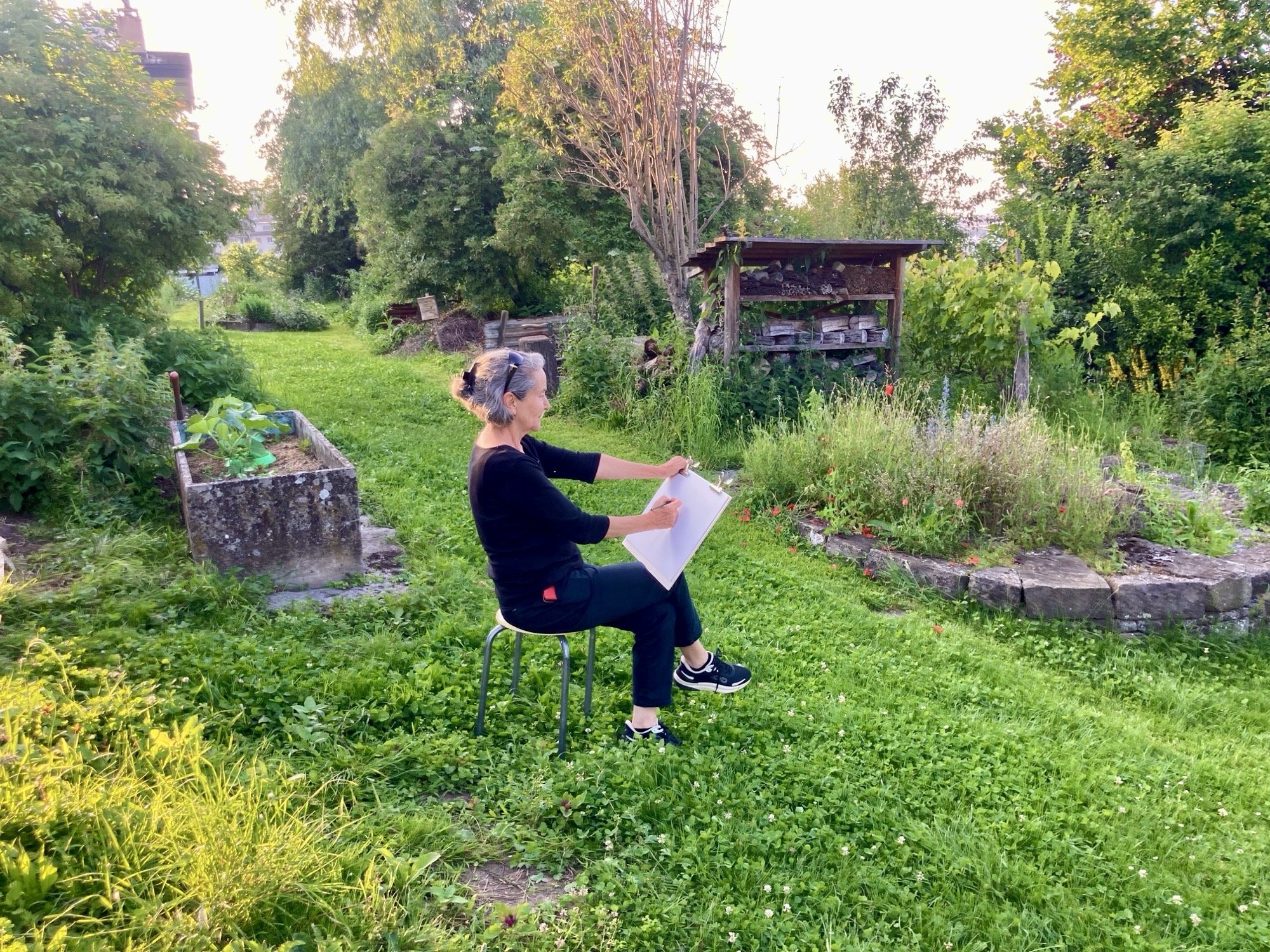 Garten-Zeichnen im Garten am Grenzsteig 4/4