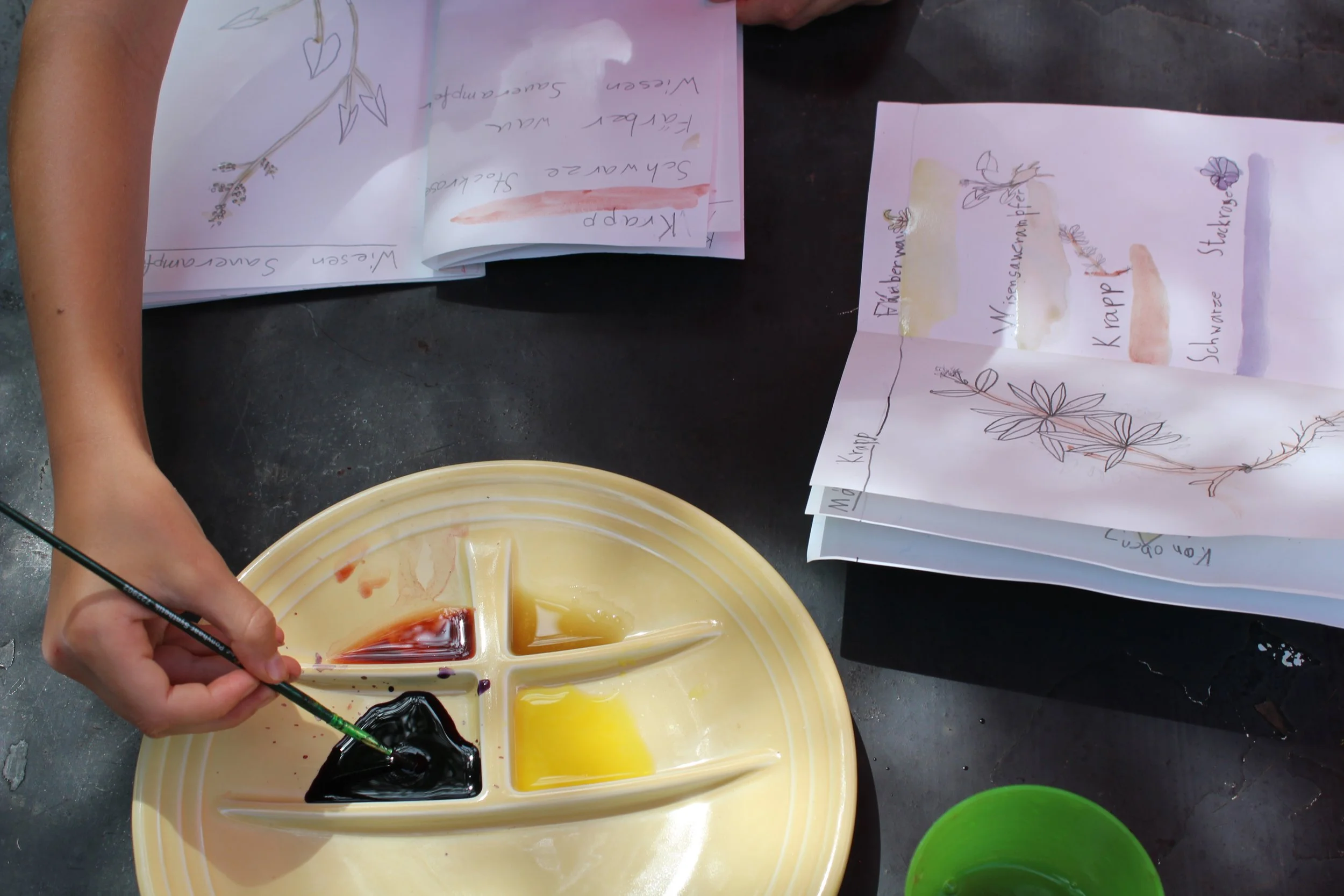 Farben der Natur! Workshop im Gartenatelier