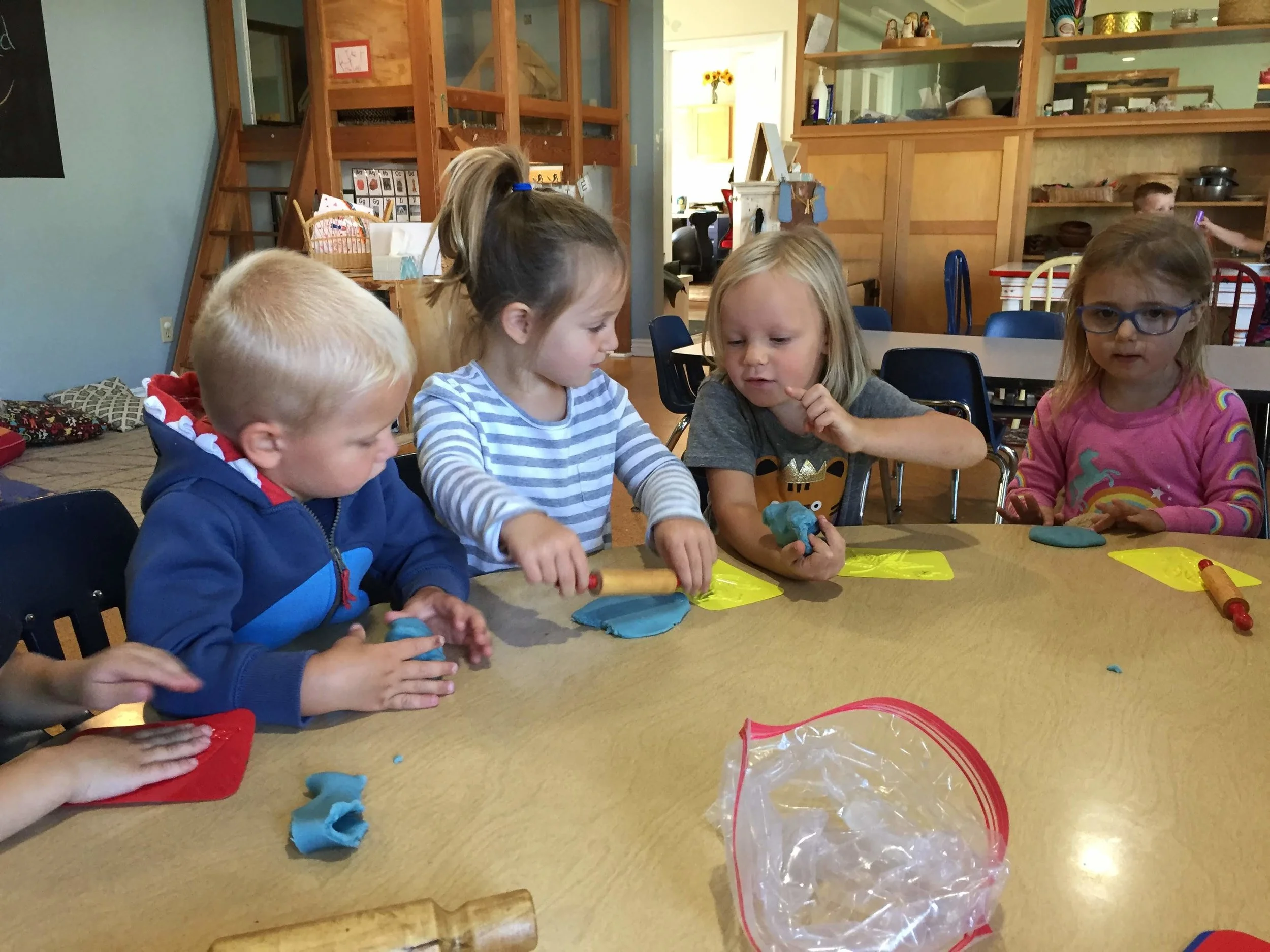 Brain Development Lecdc