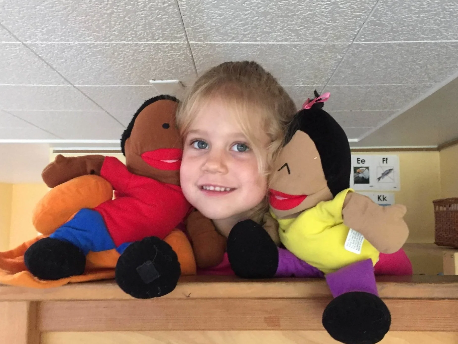 Brain Development Lecdc