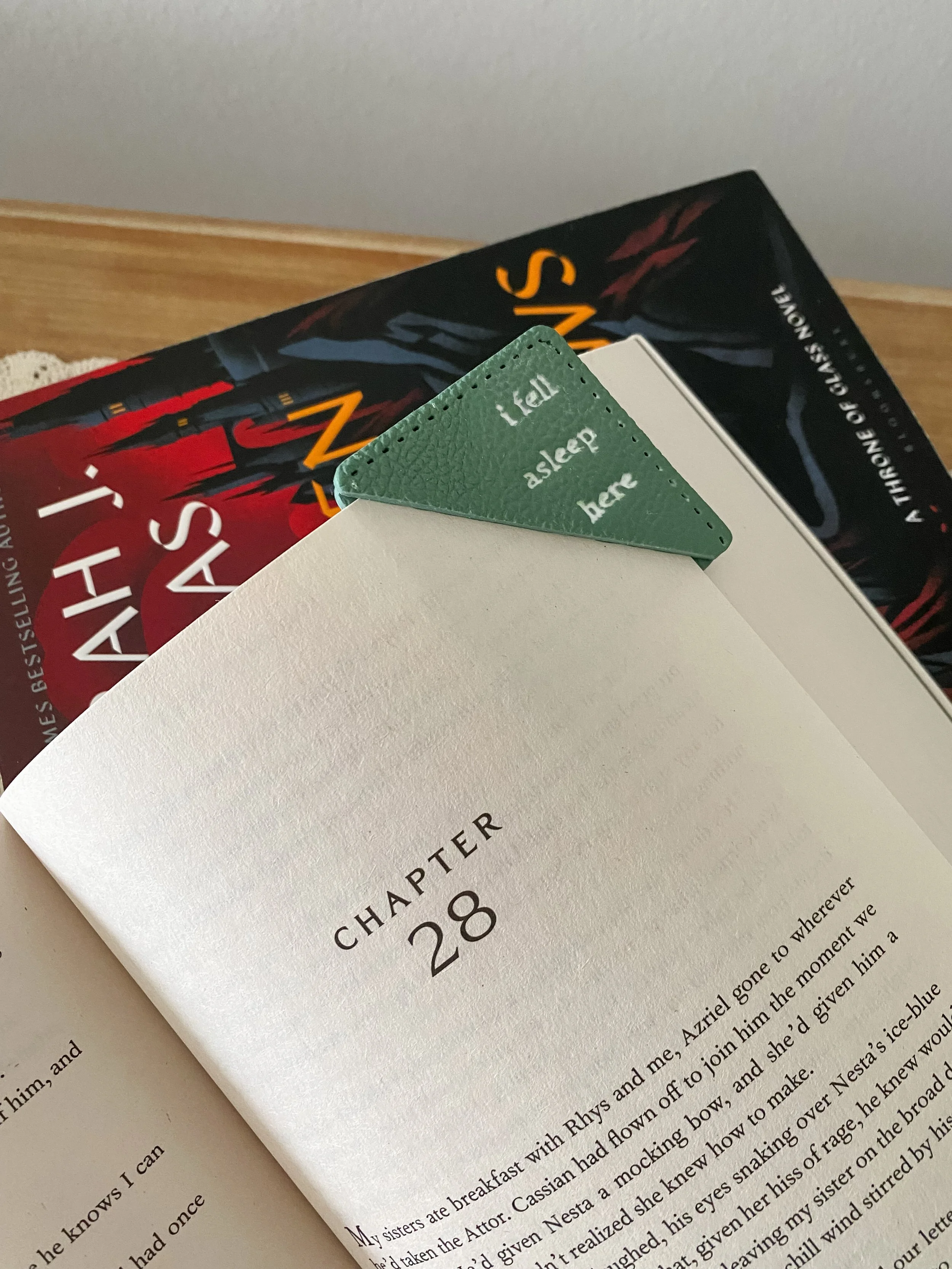 Photo Nov 15 2025, 11 03 41 AM.jpg