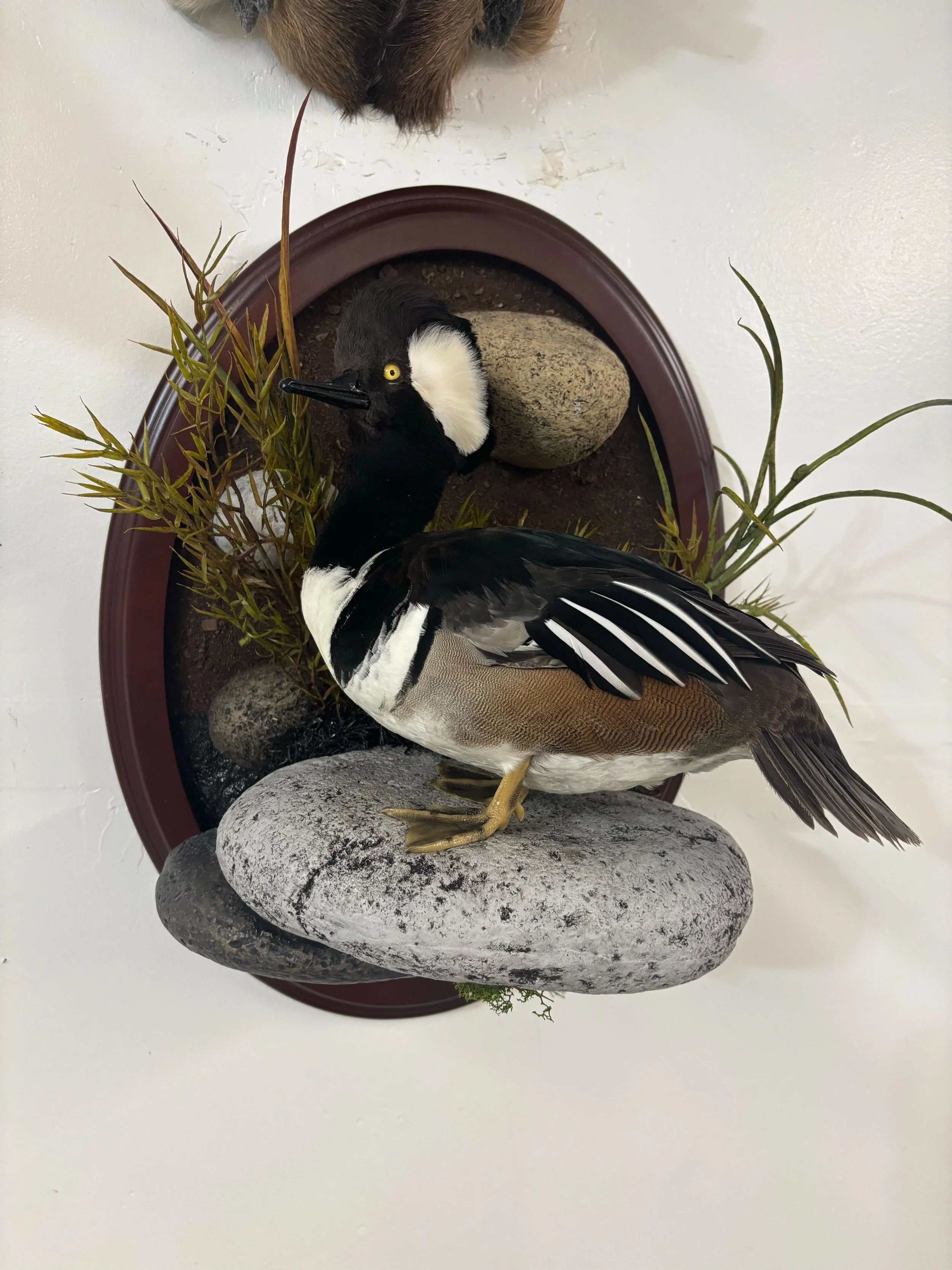 Image from iOS (7).jpg