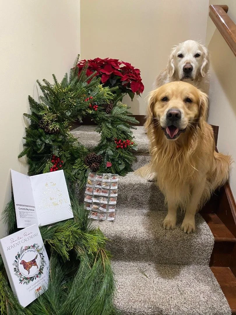 advent calendar steps.jpg