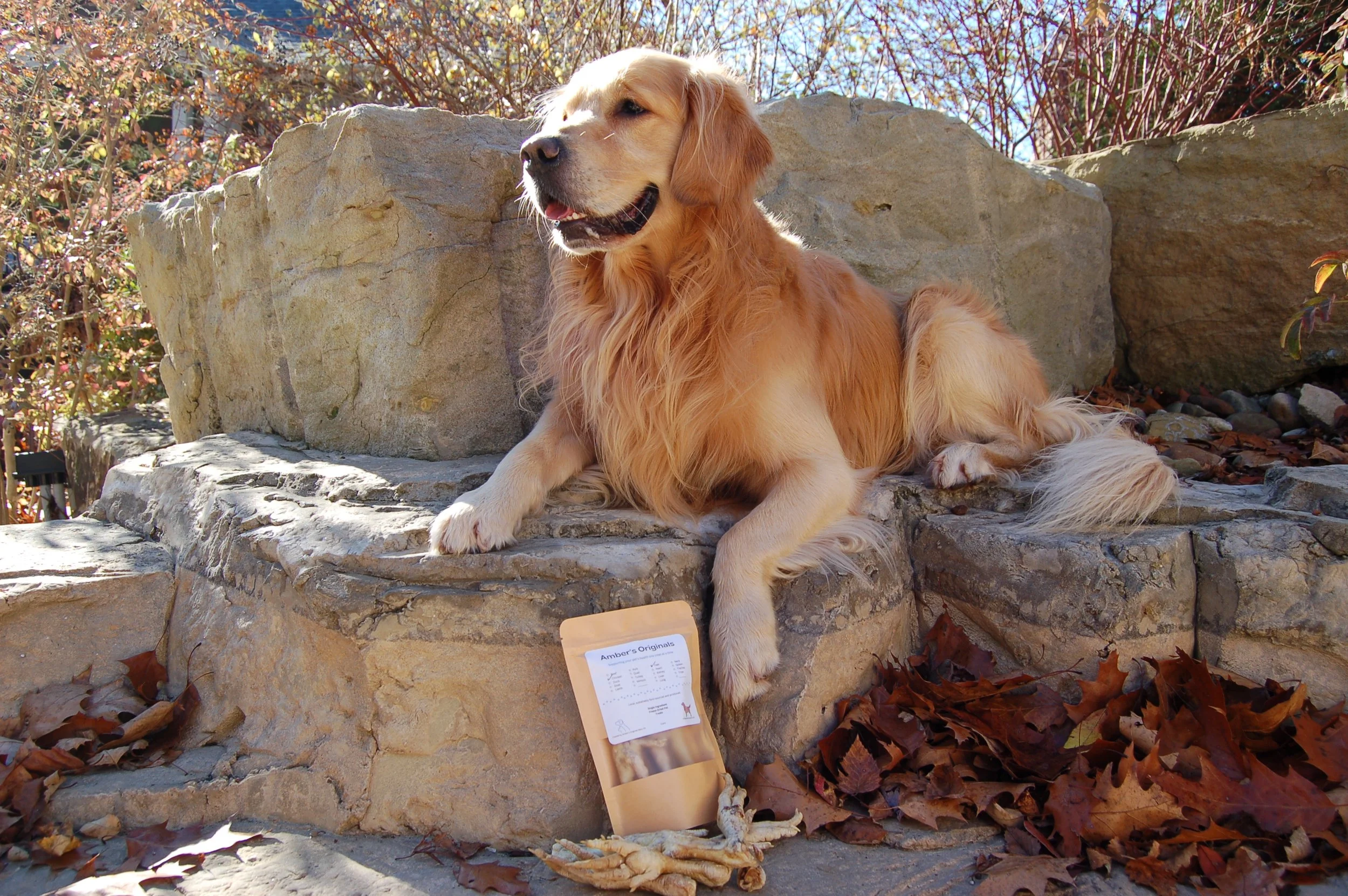 Freeze-Dried Chicken Feet