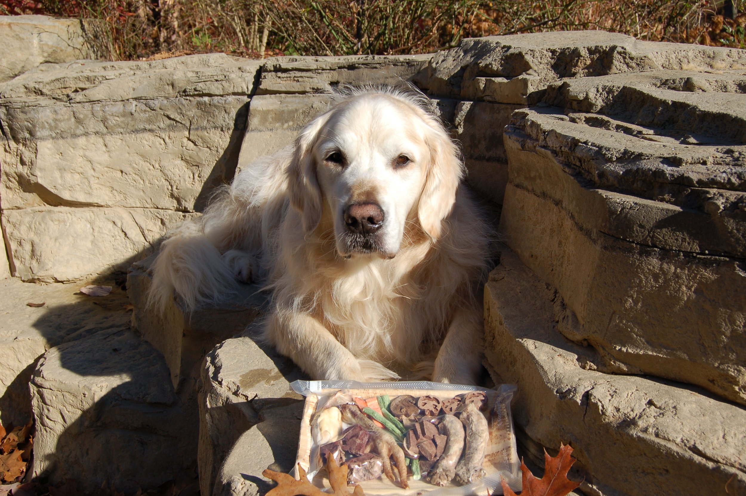 Barkuterie Board - extra large